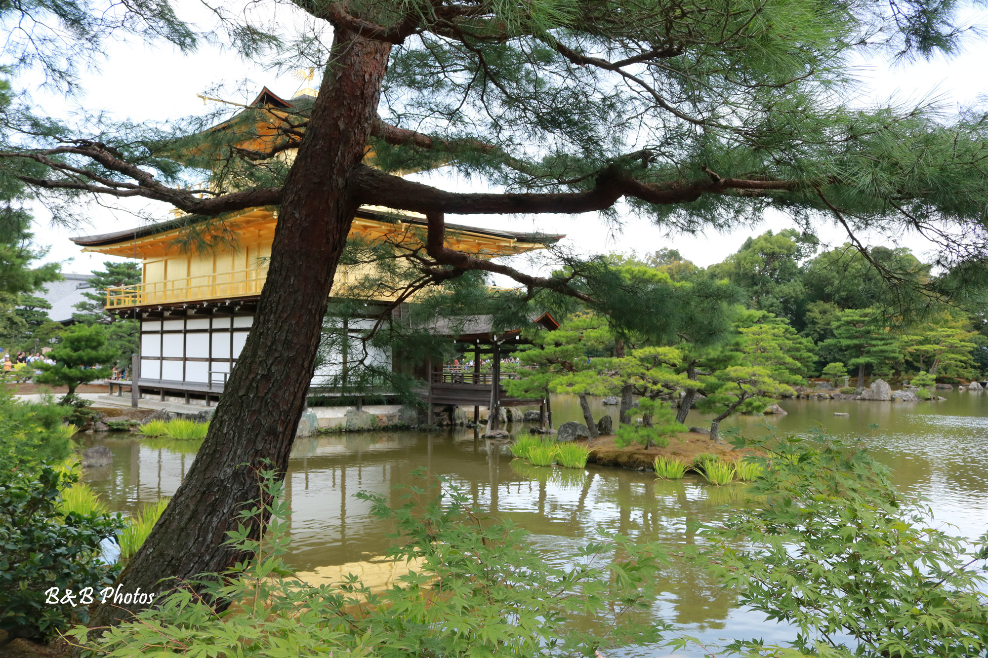 京都自助遊攻略