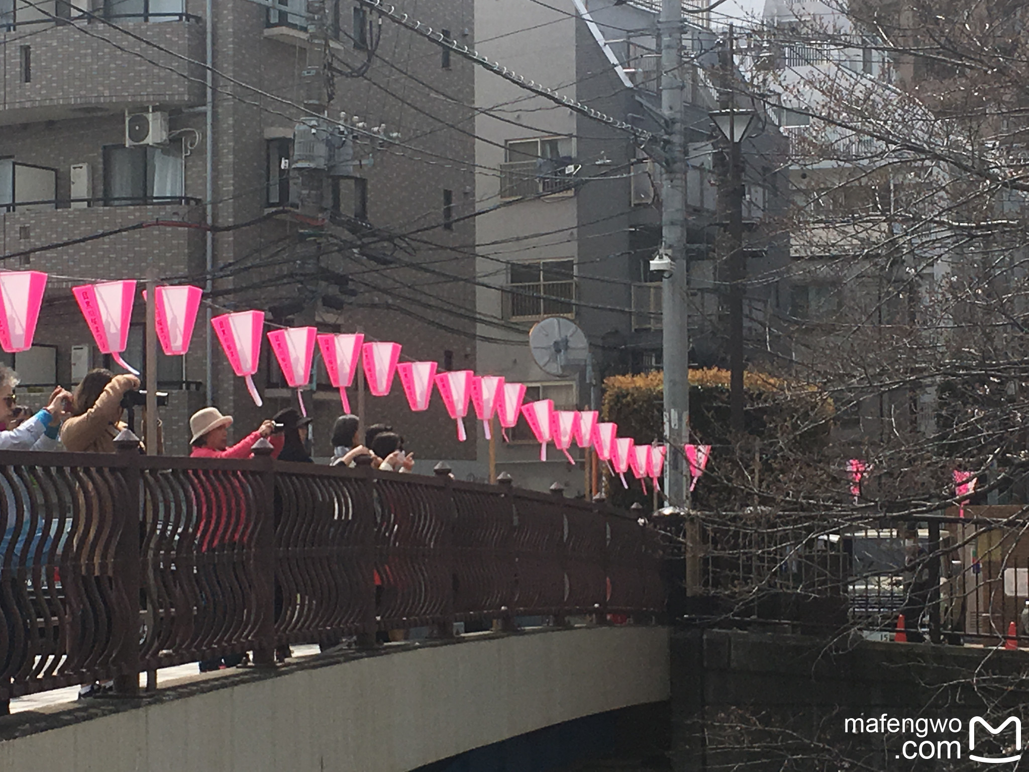 東京自助遊攻略