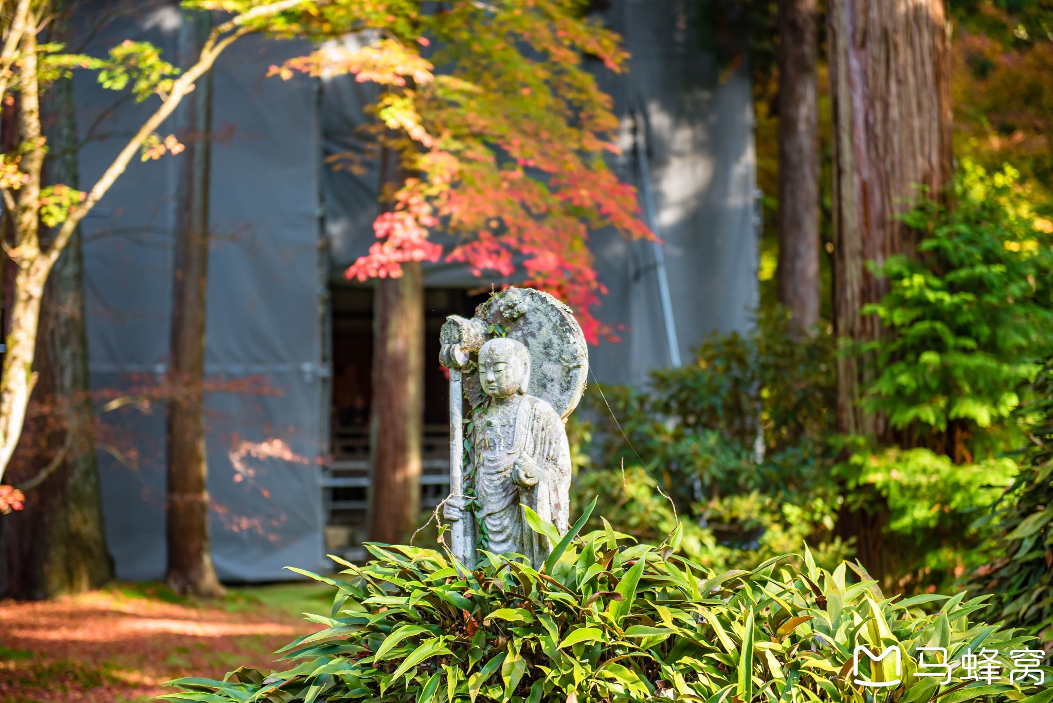 京都自助遊攻略