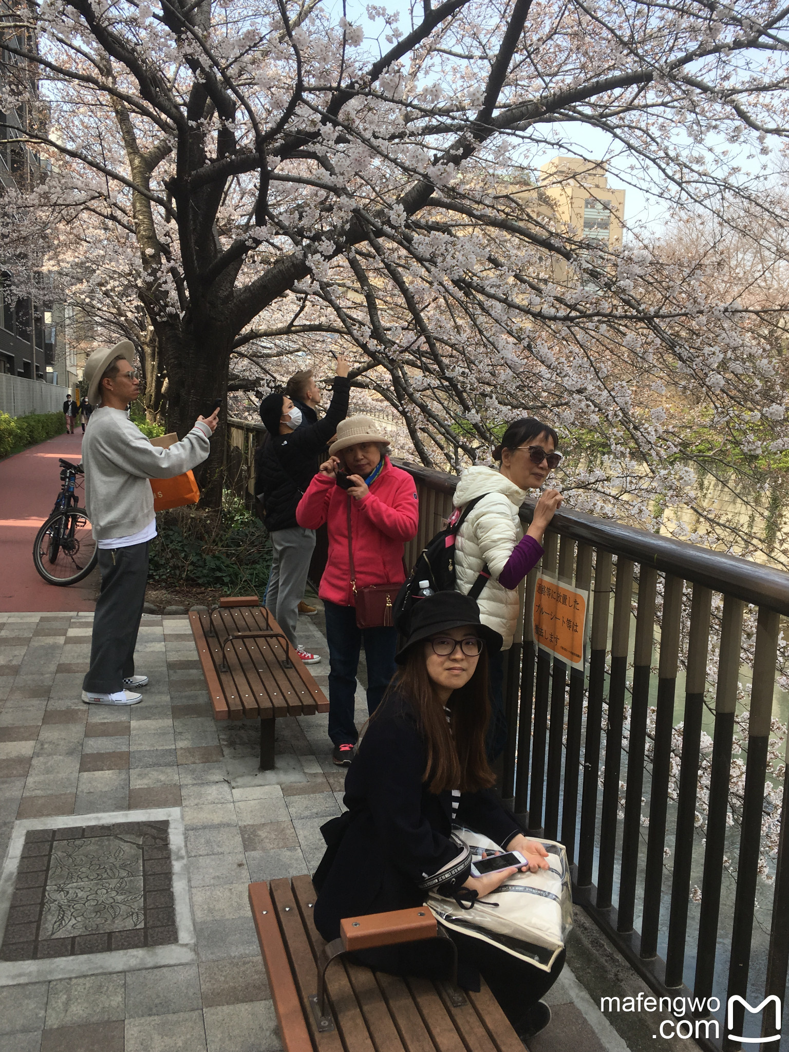 東京自助遊攻略