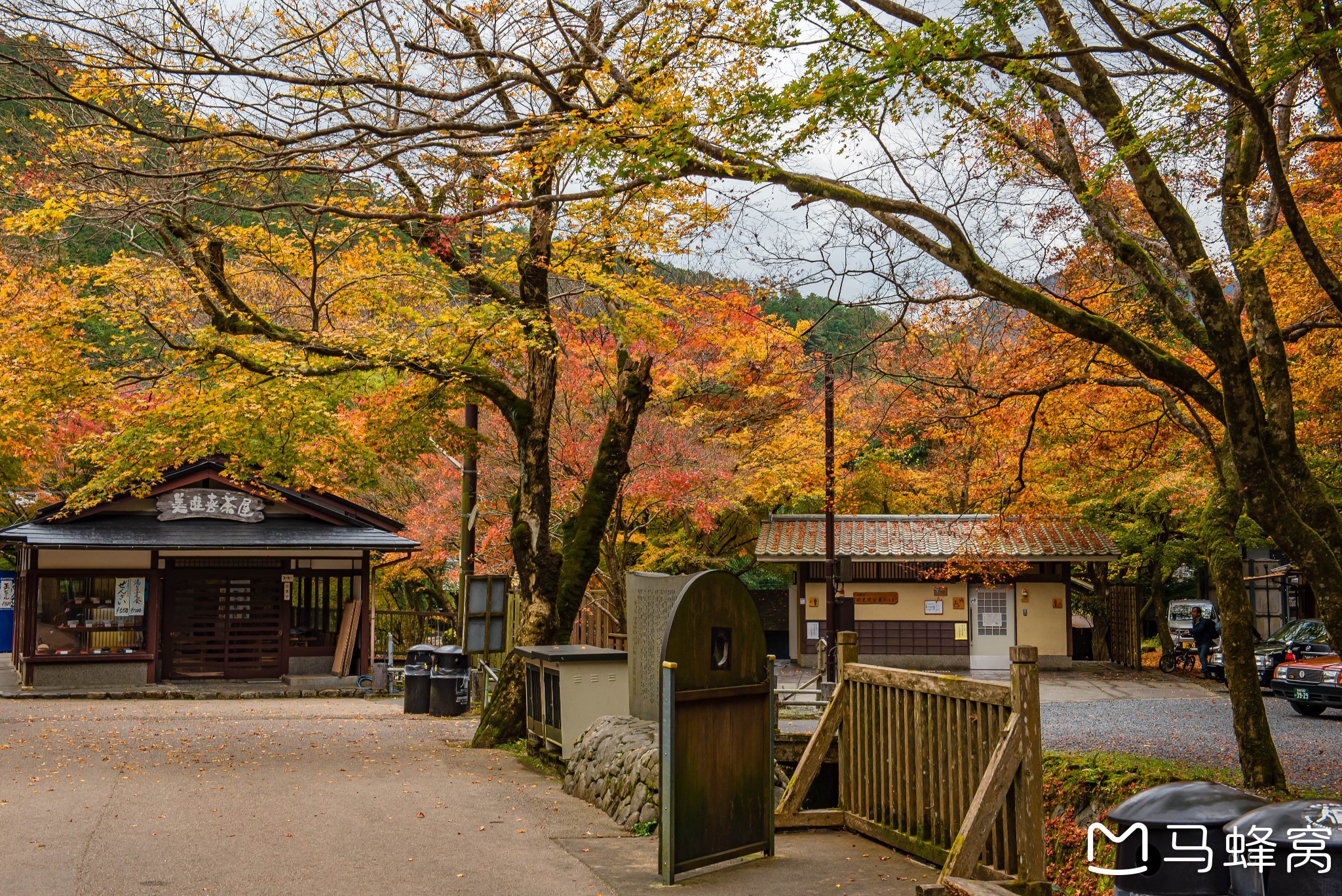 京都自助遊攻略