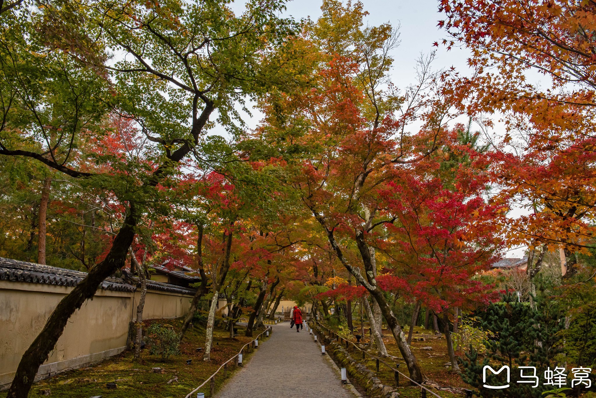 京都自助遊攻略