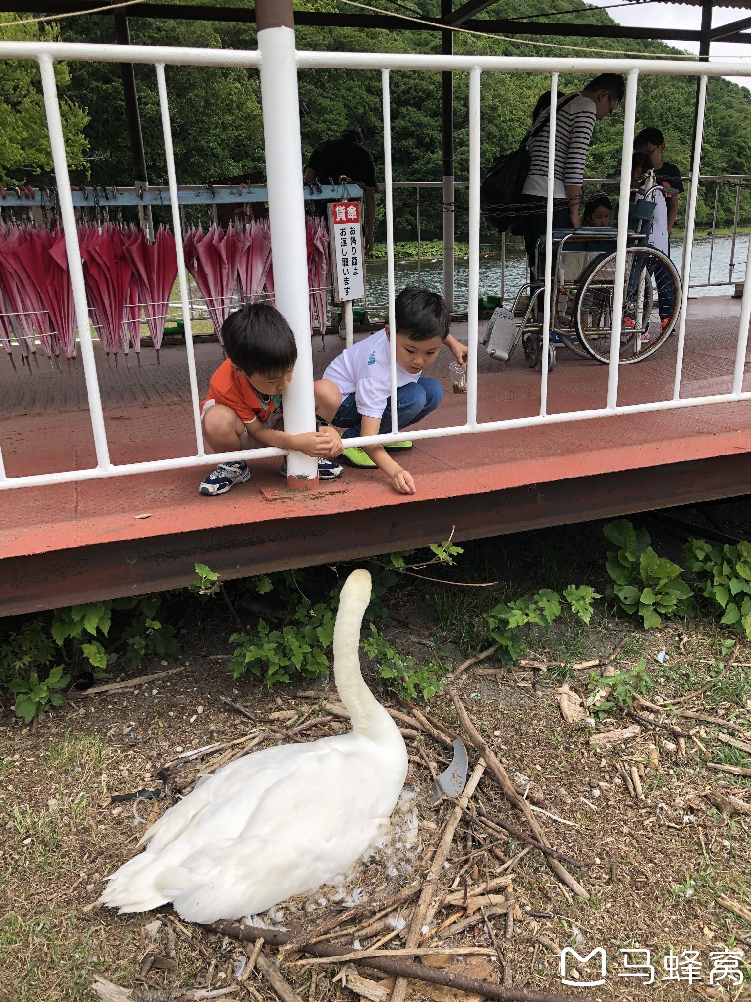 北海道自助遊攻略