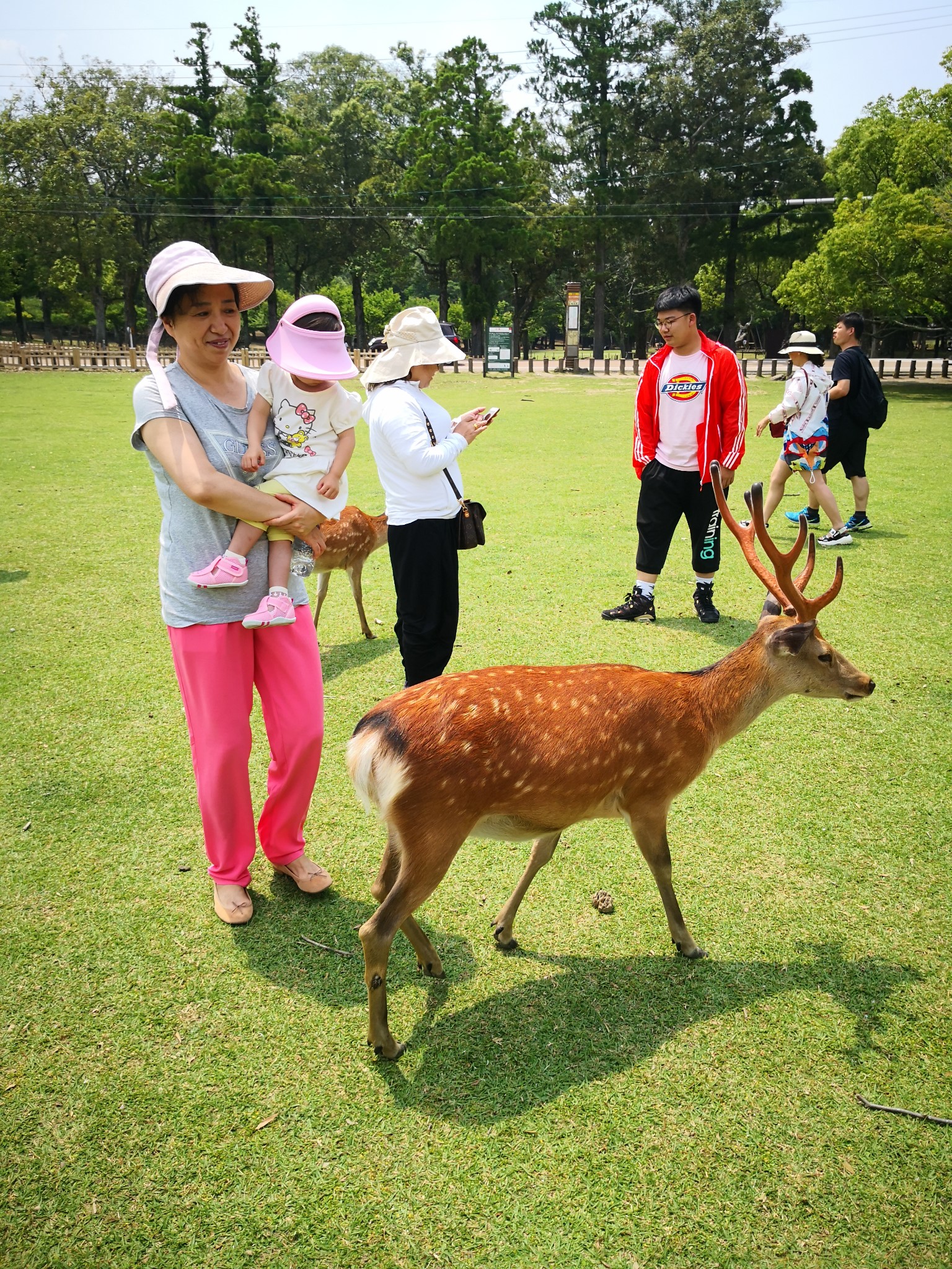 大阪自助遊攻略