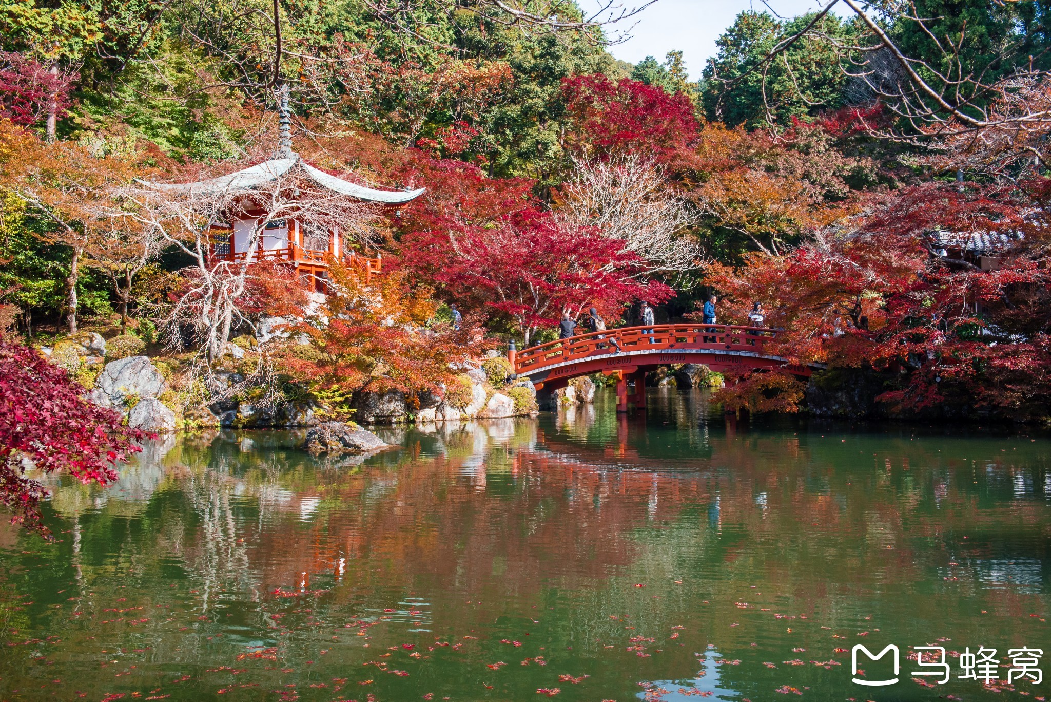 京都自助遊攻略