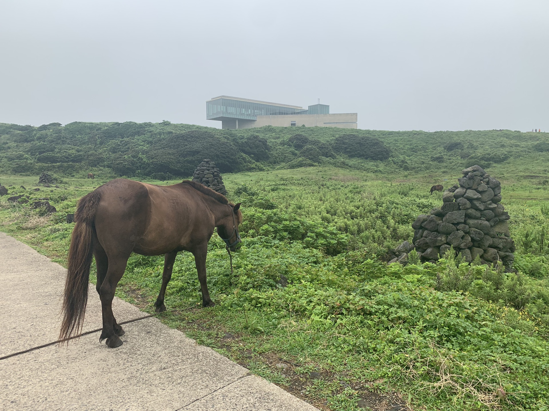 濟州島自助遊攻略