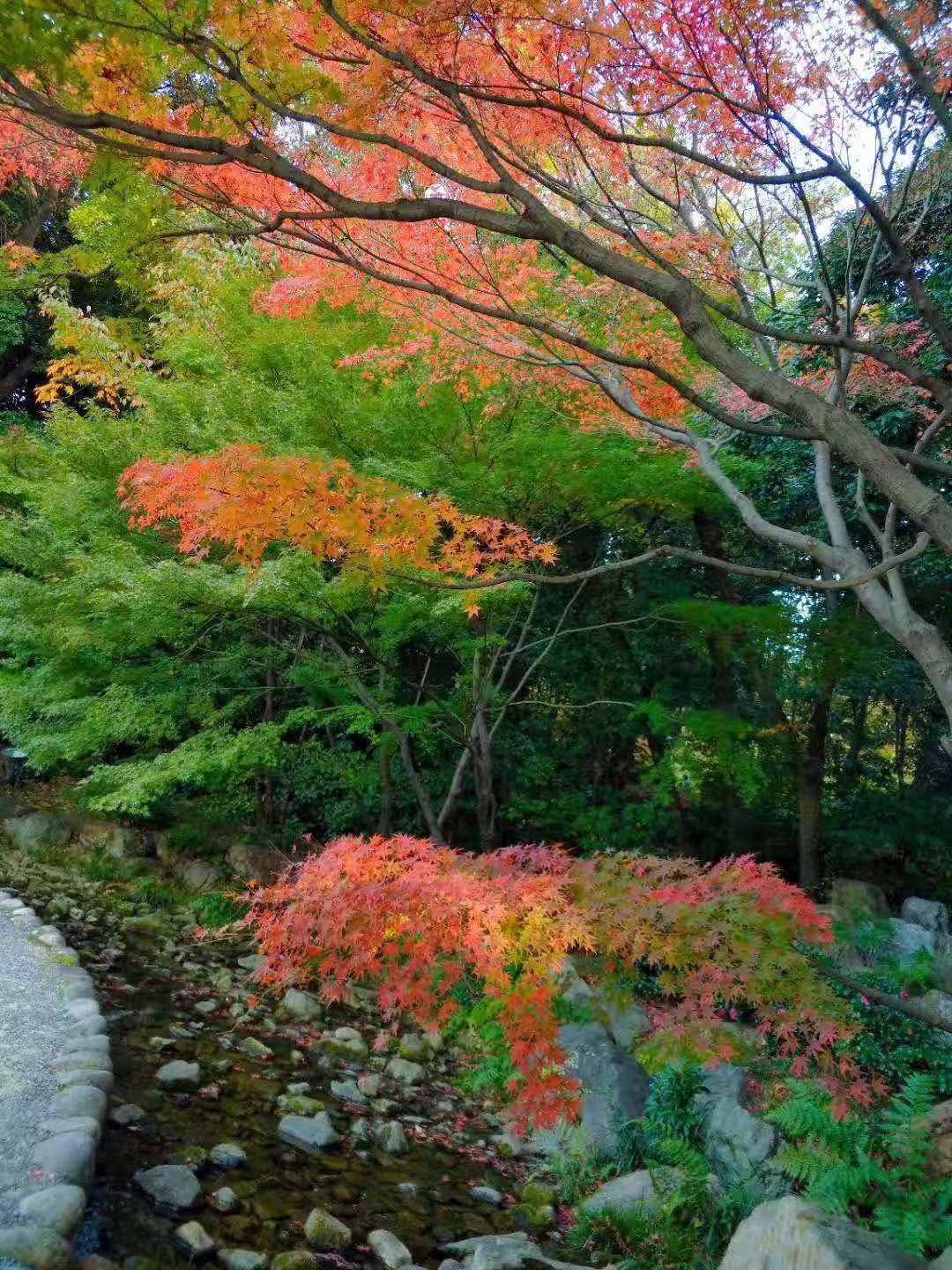 名古屋自助遊攻略