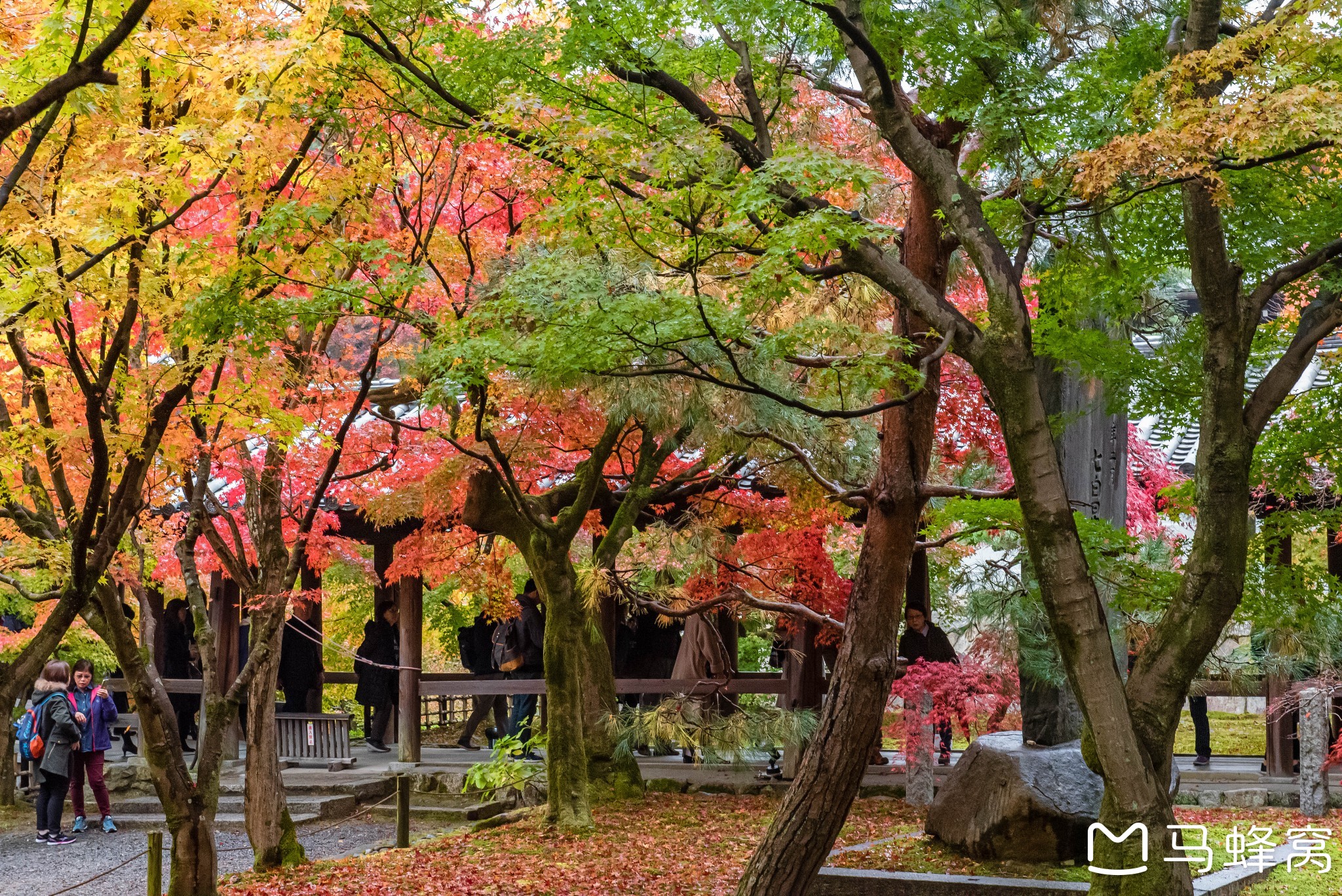 京都自助遊攻略