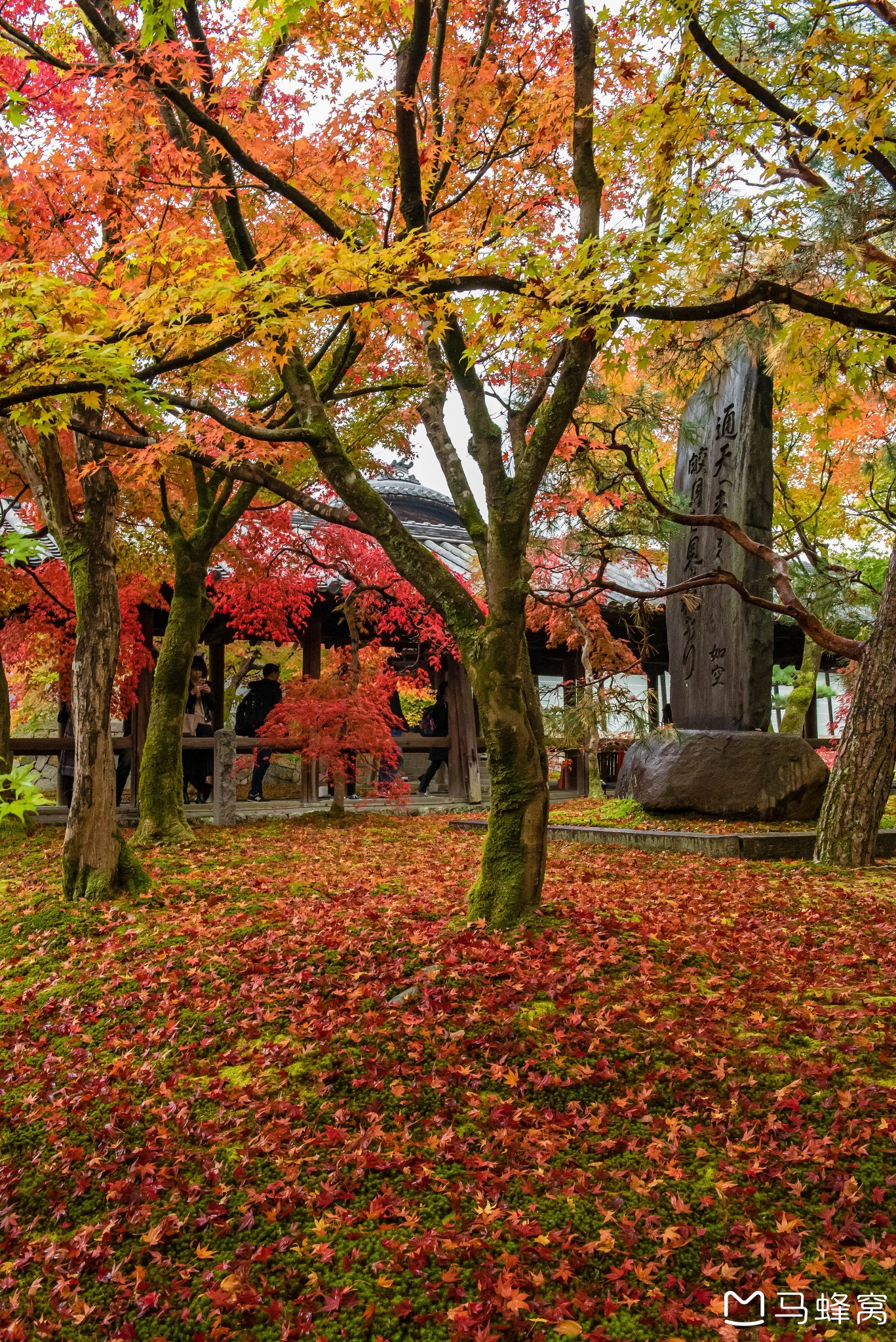 京都自助遊攻略