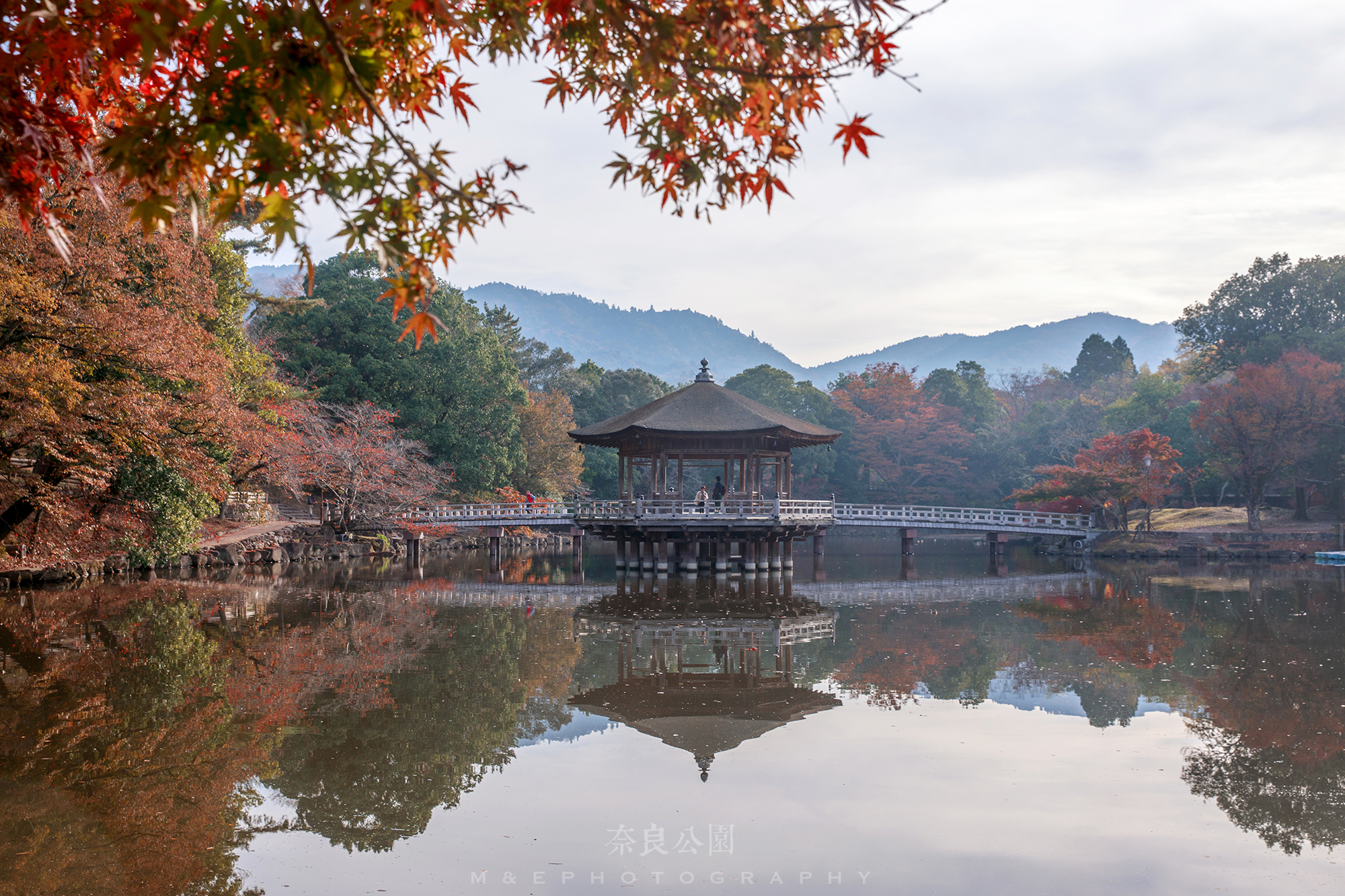 京都自助遊攻略