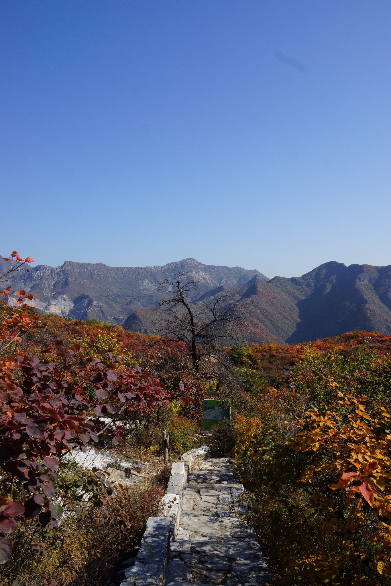 房山坡峰嶺賞紅葉(2019.10.26)