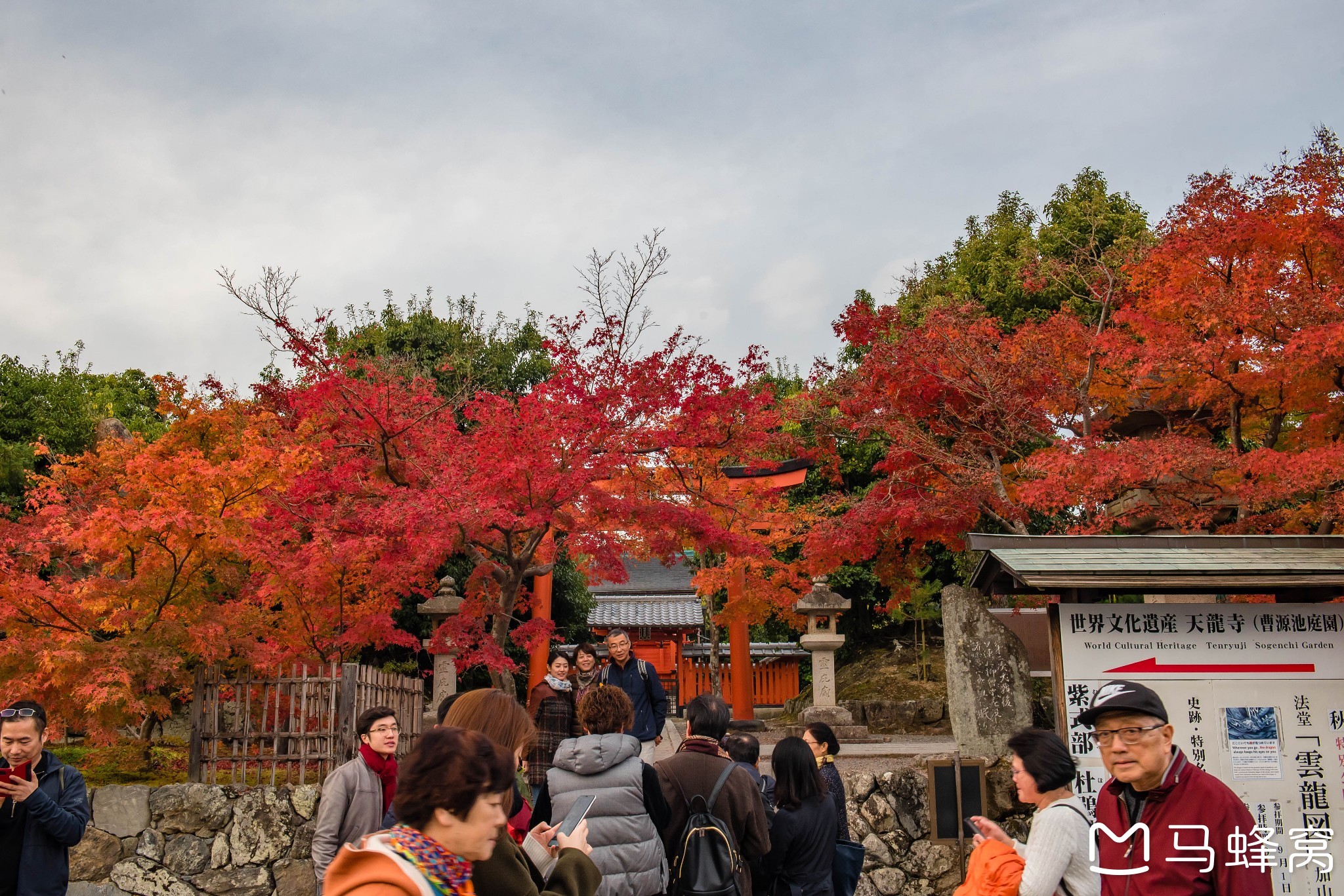 京都自助遊攻略