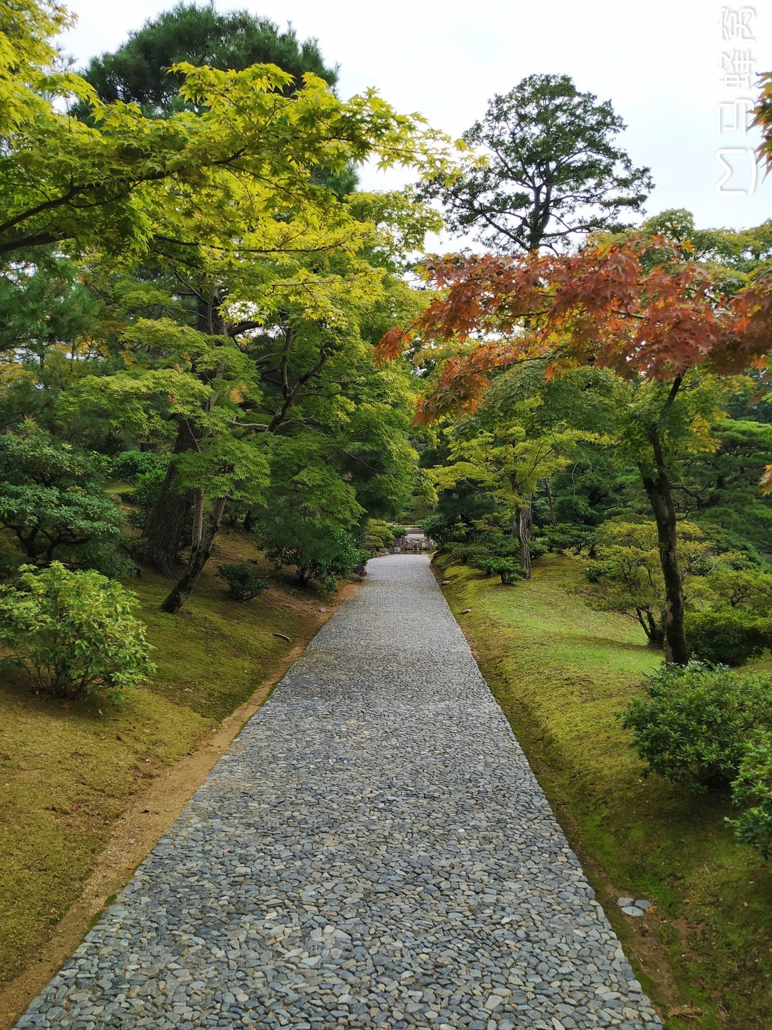 京都自助遊攻略