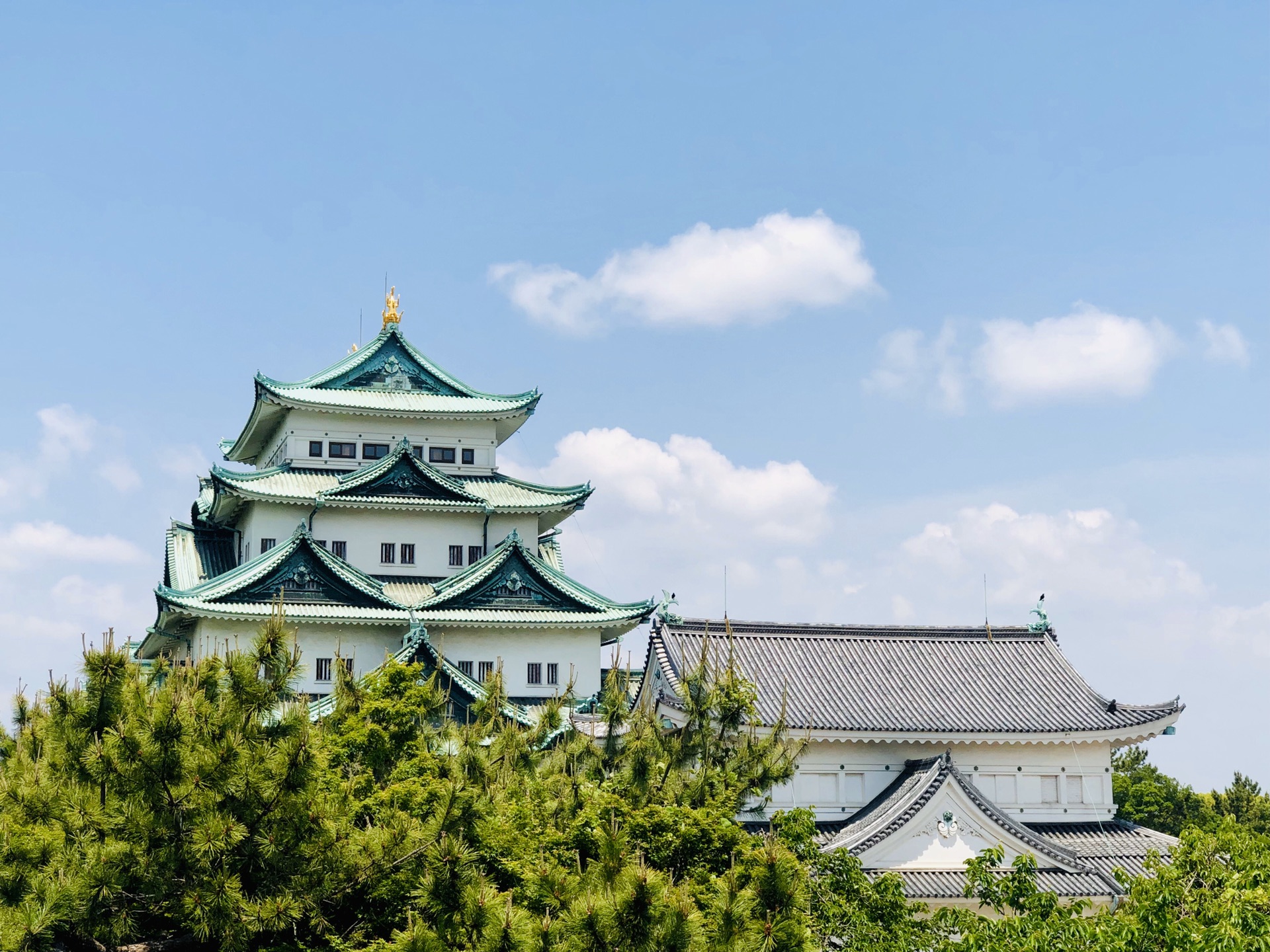 東京自助遊攻略