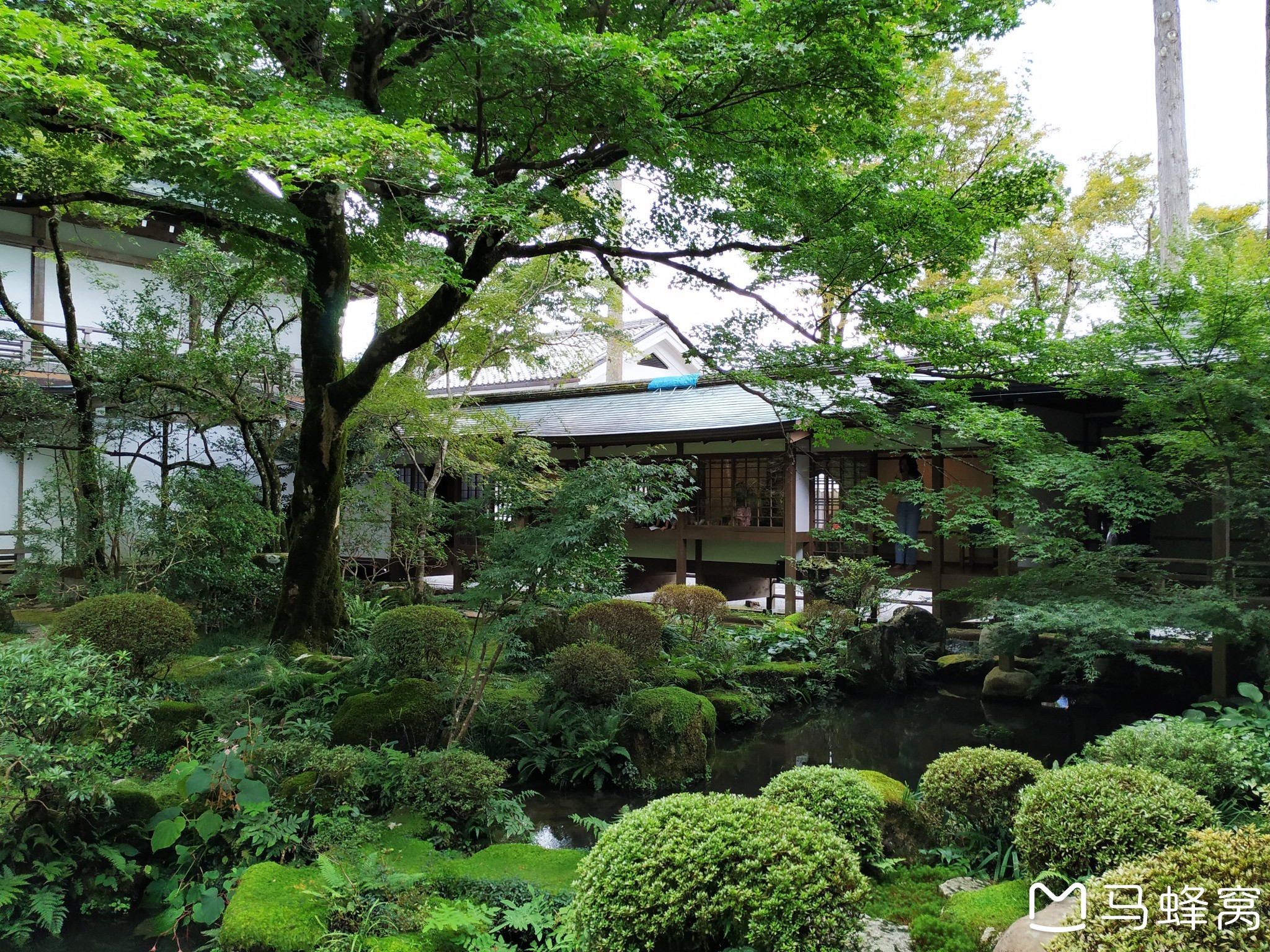 京都自助遊攻略