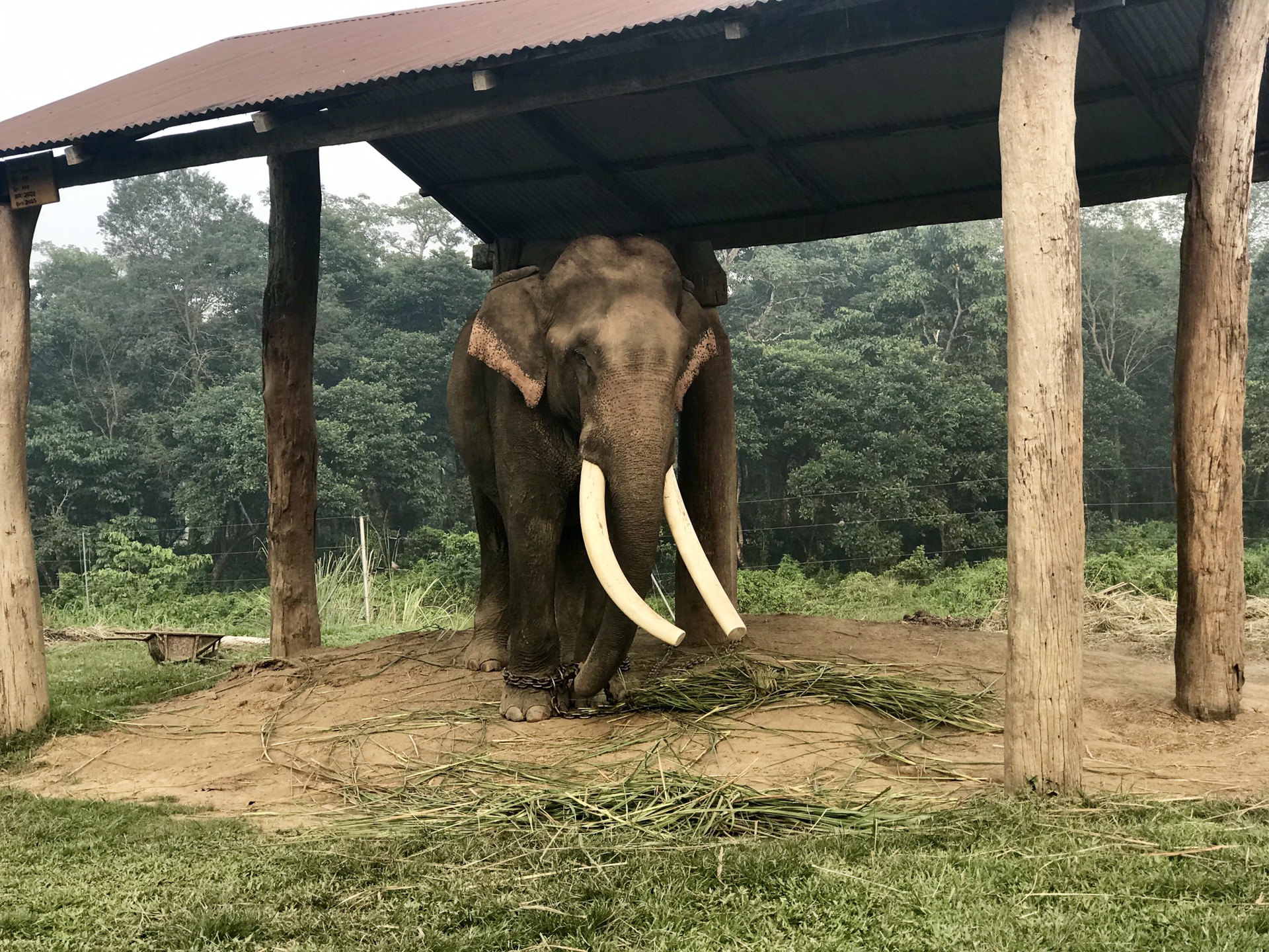 尼泊爾自助遊攻略