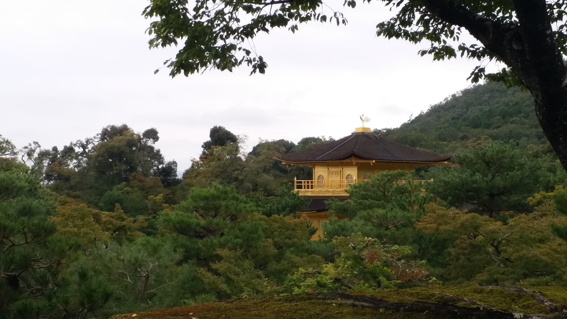 京都自助遊攻略