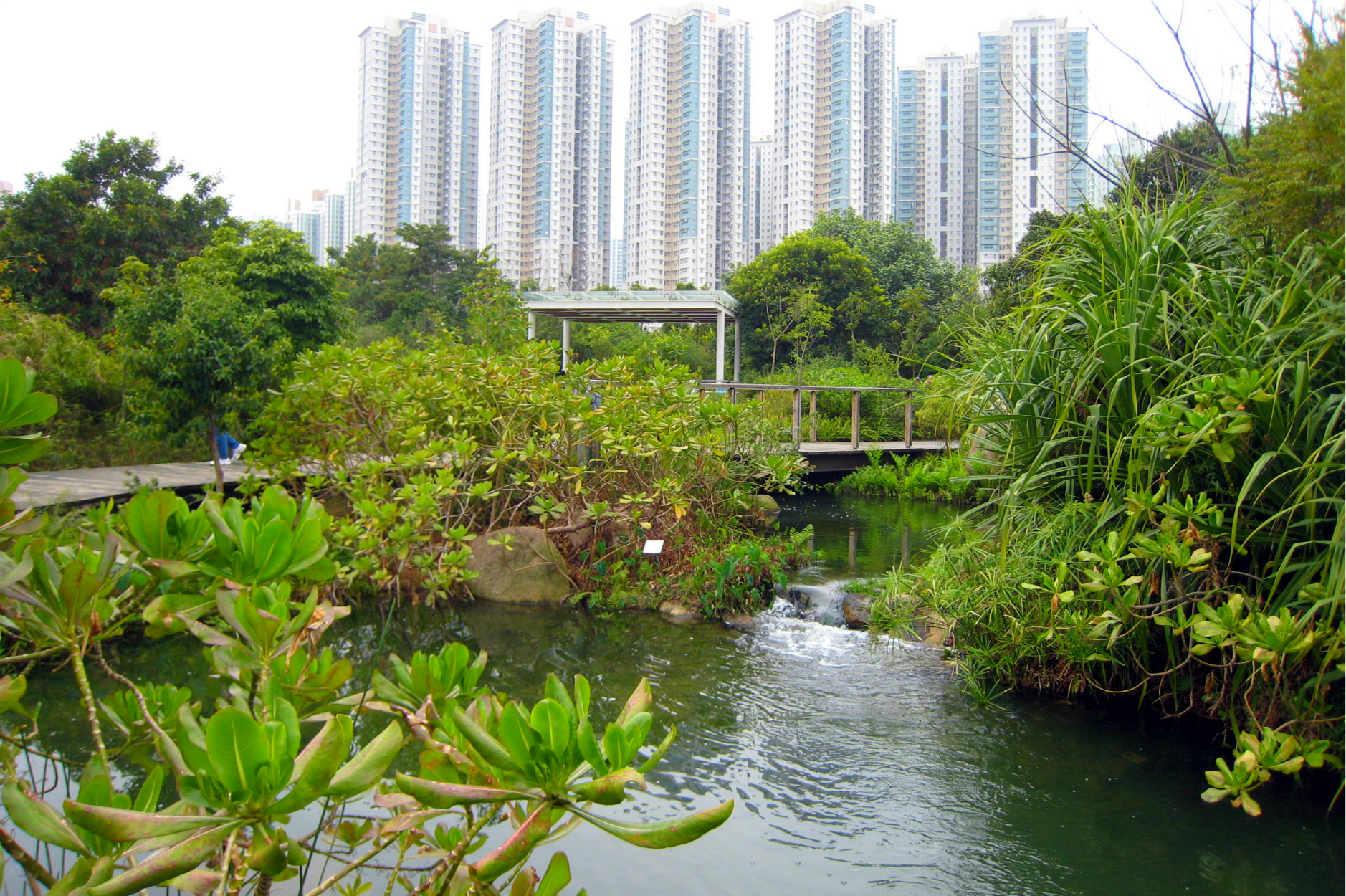 城市之"肺"—香港湿地公园