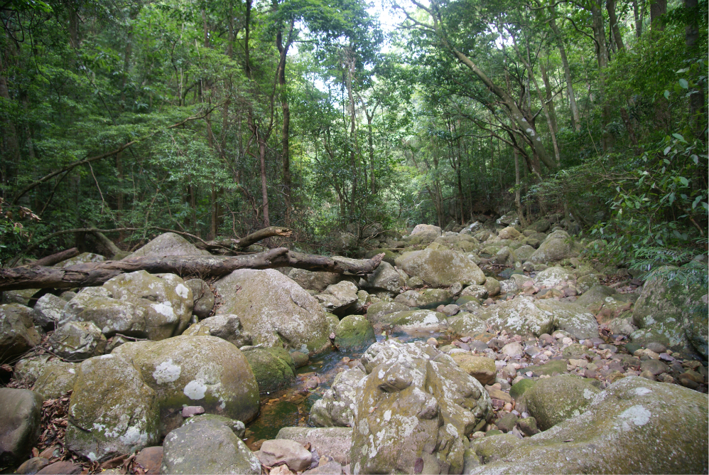 十萬大山旅遊圖片 十萬大山遊記圖片 查看exif信息 原始圖片 所有