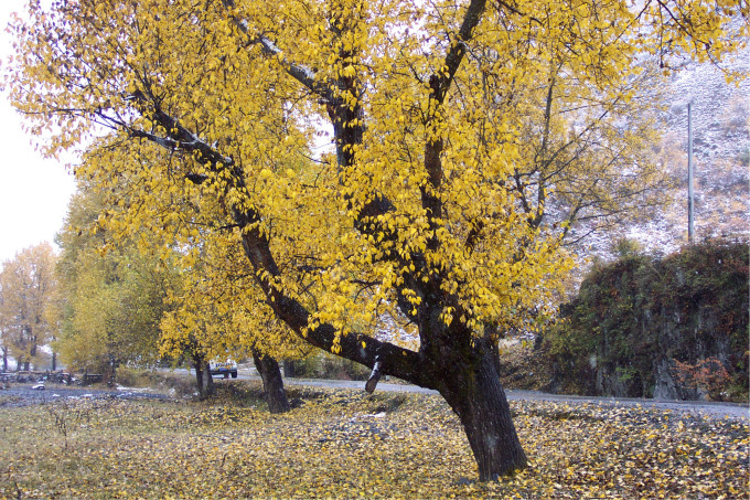 10月属于深秋吗 wKgB3FE3BR2AYFp3AE5yoFgFKbQ03.jpeg?imageView2%2F2%2Fw%2F680%2Fq%2F90