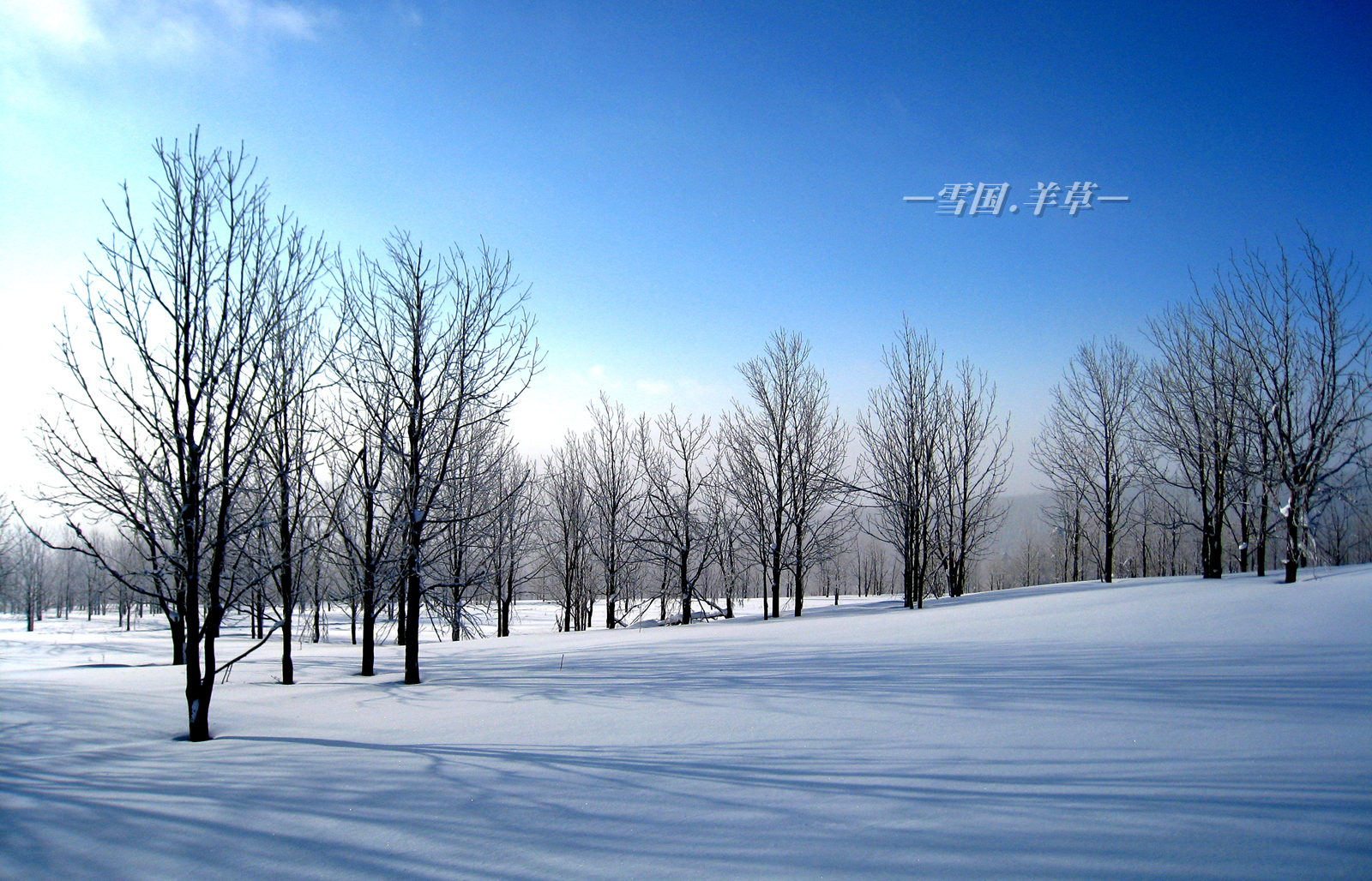 雪鄉自助遊攻略