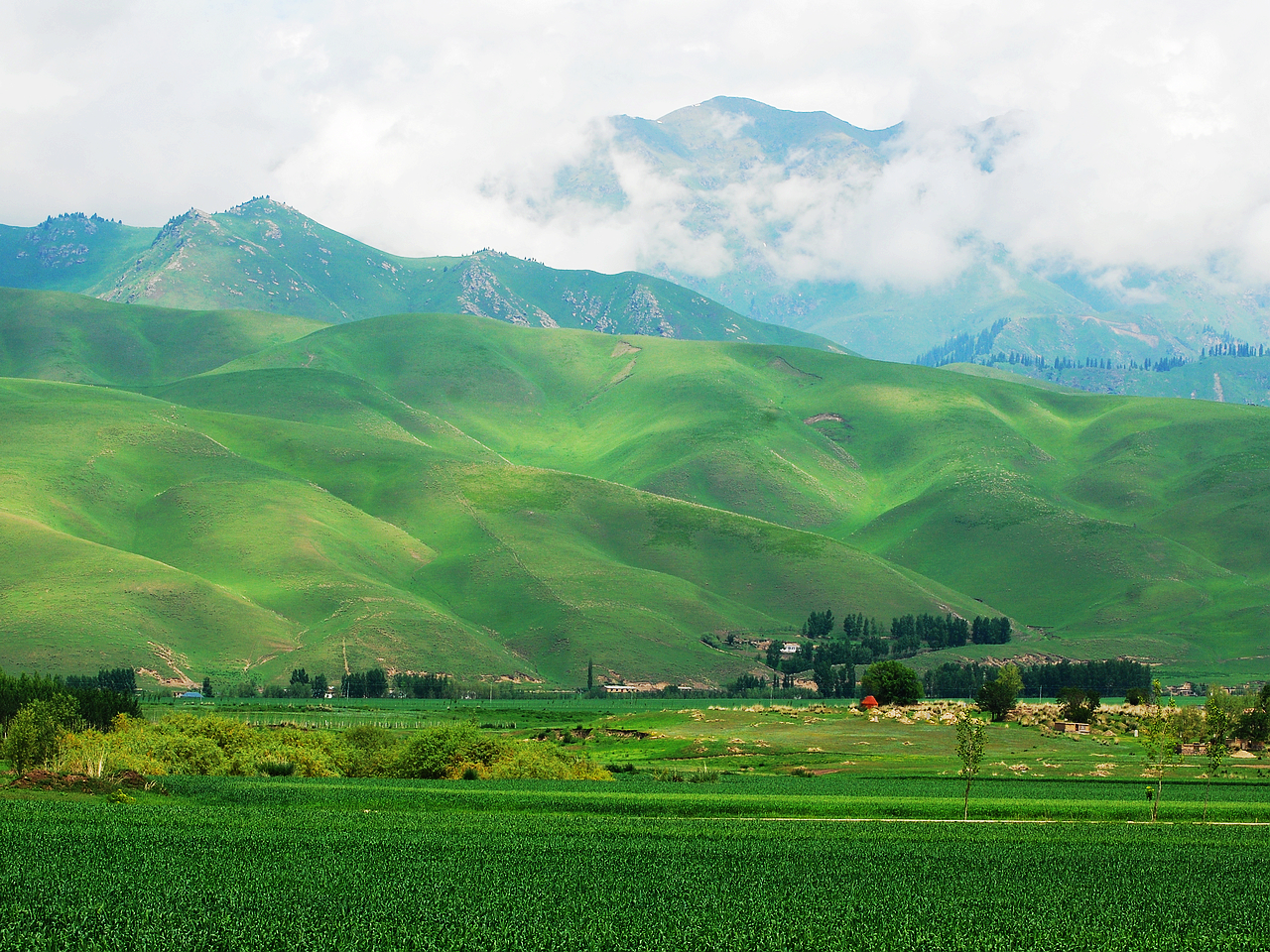 六月新疆有什么好玩的地方,六月新疆有什么景