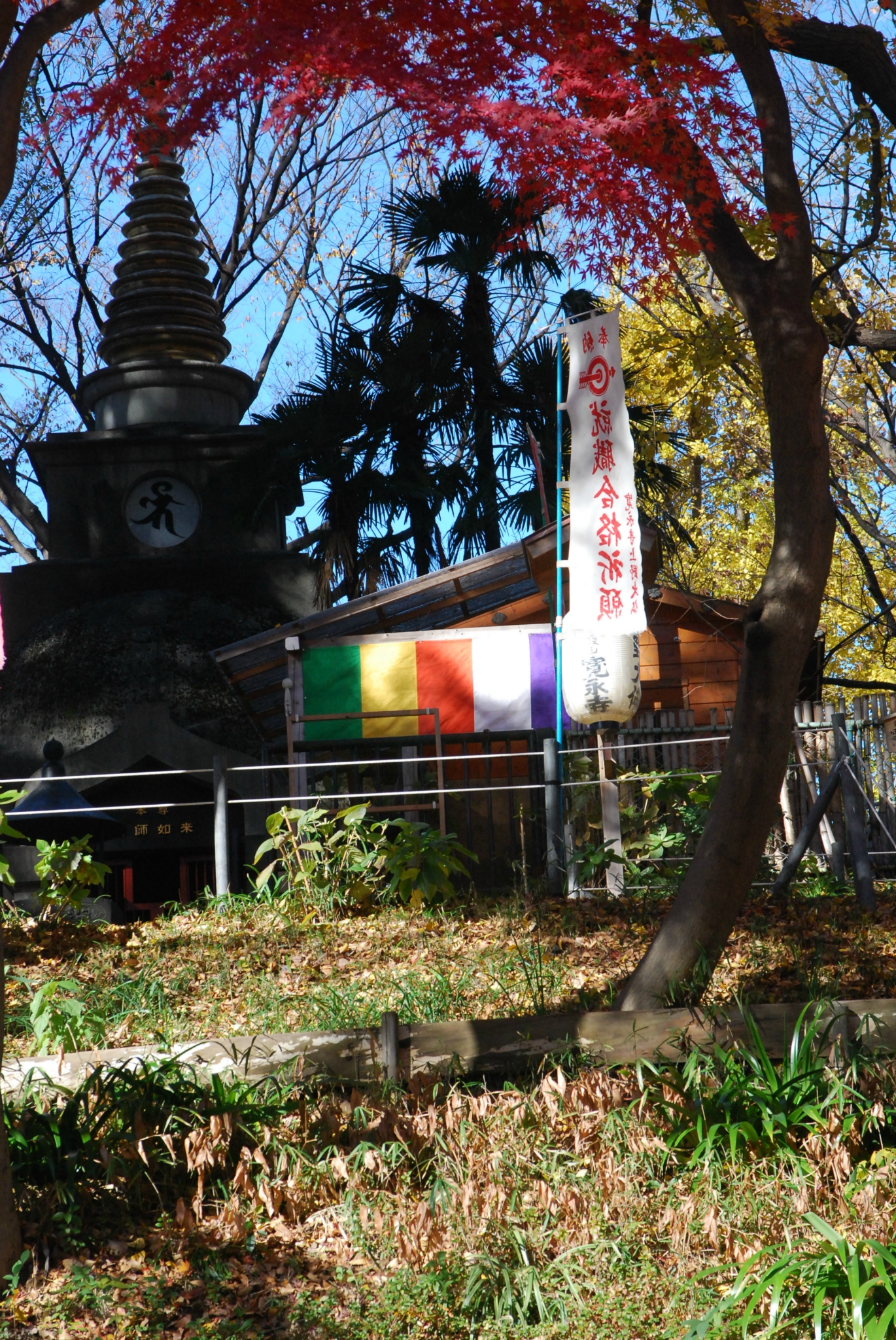 東京自助遊攻略