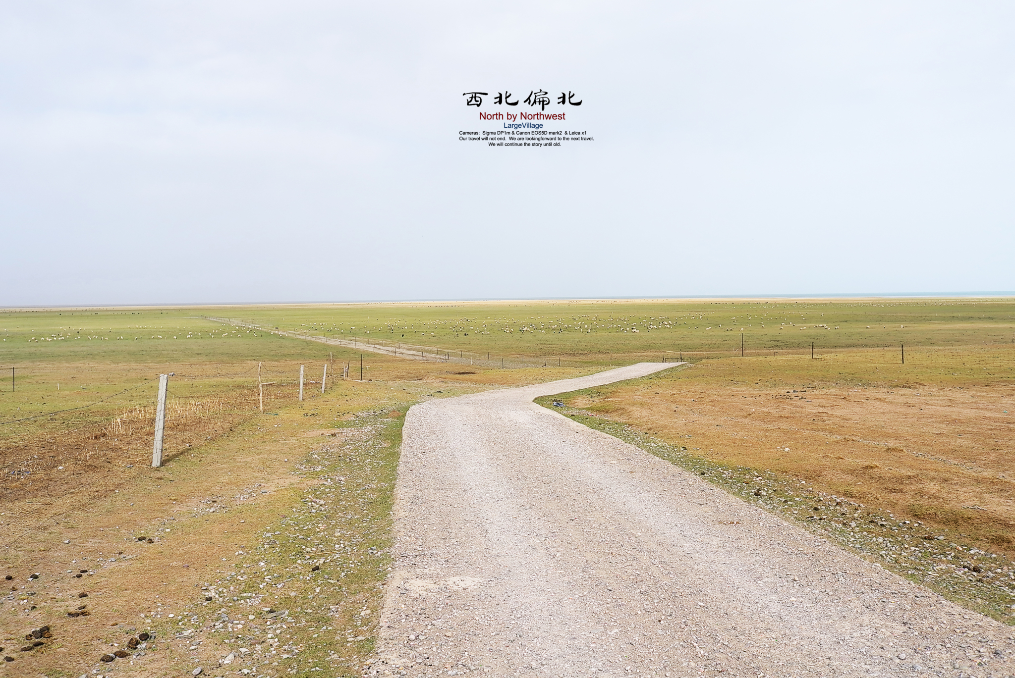 湖边的这条石子路,一直通向远方,激起了我们的好奇心.