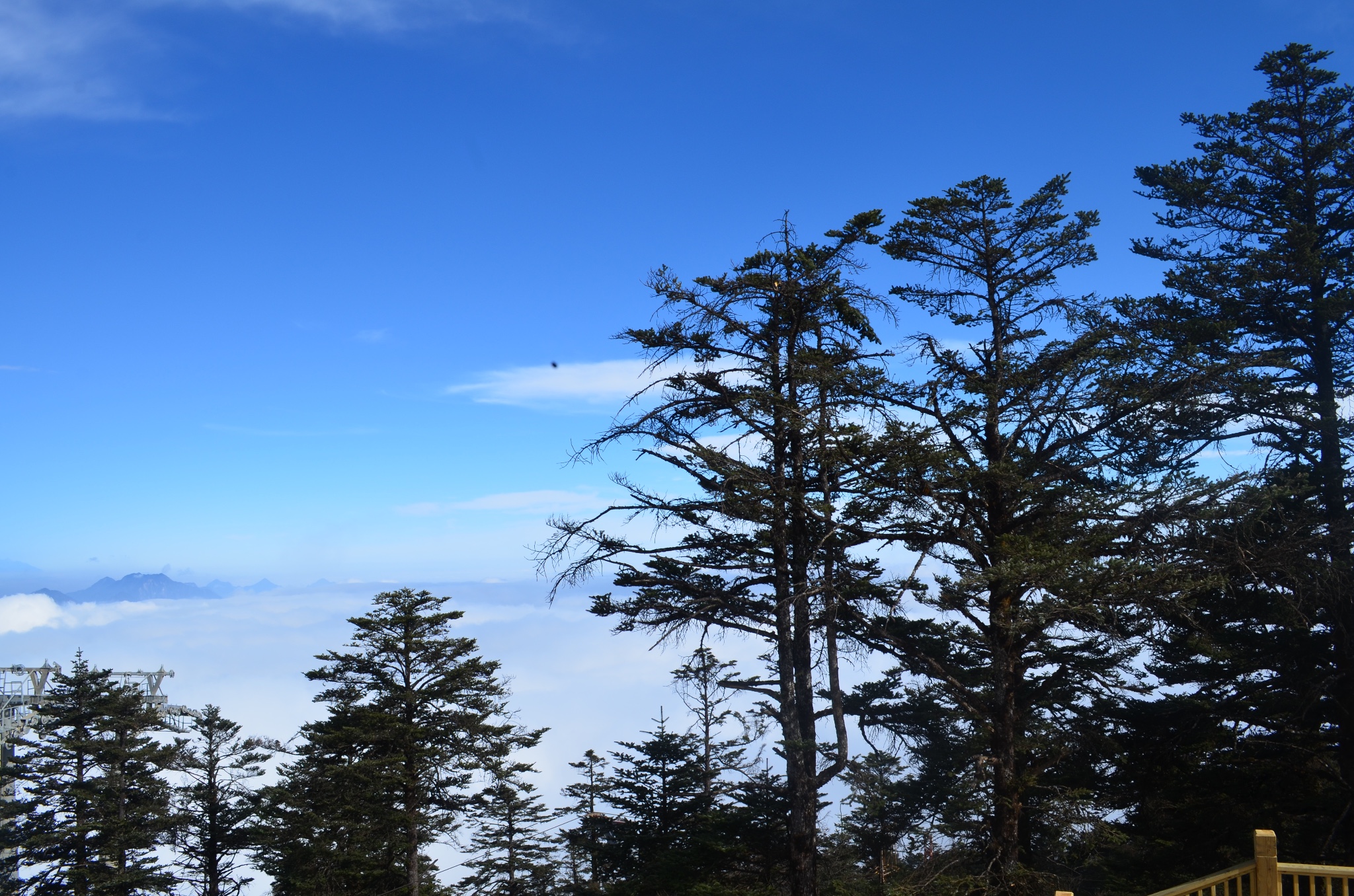 喜出望外的西岭雪山后山冬日晴天一日行!