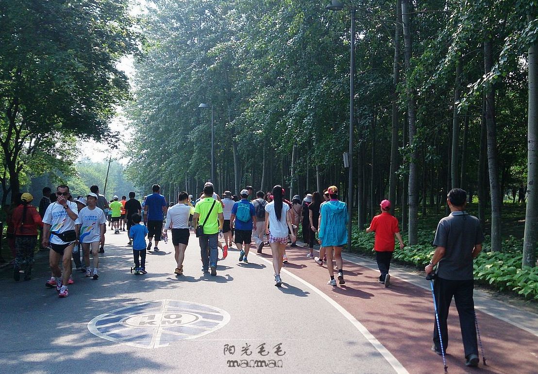 今天,就是跑步,徒步—记奥林匹克森林公园图片46,北京旅游景点,风景