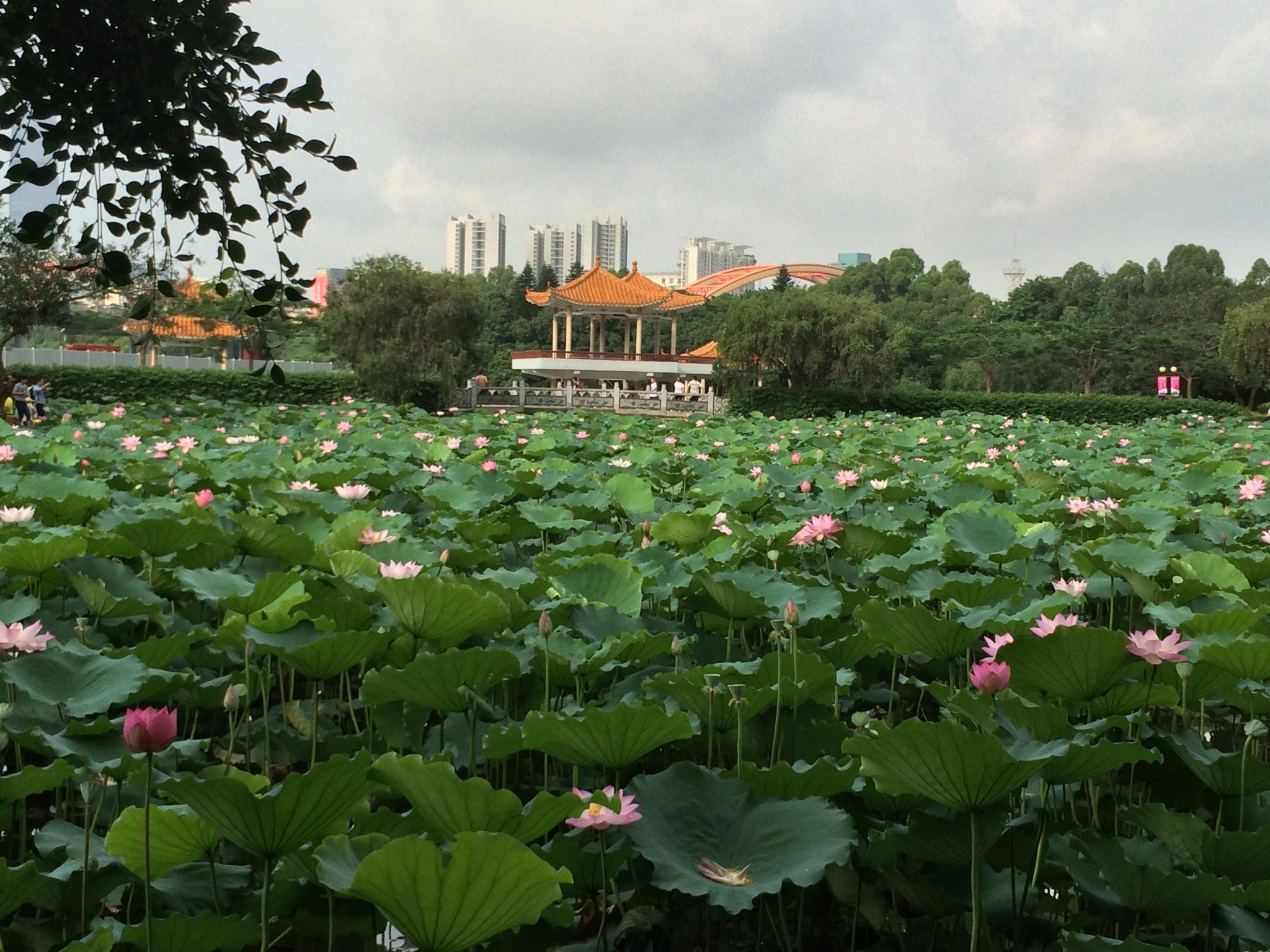 深圳自助遊攻略