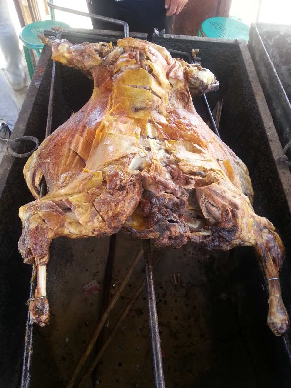 回复游记:去宝鸡关山牧场纵马放歌 尽享草原魅力