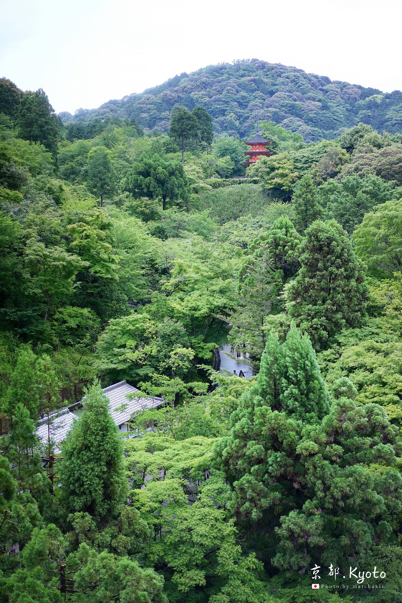 京都自助遊攻略