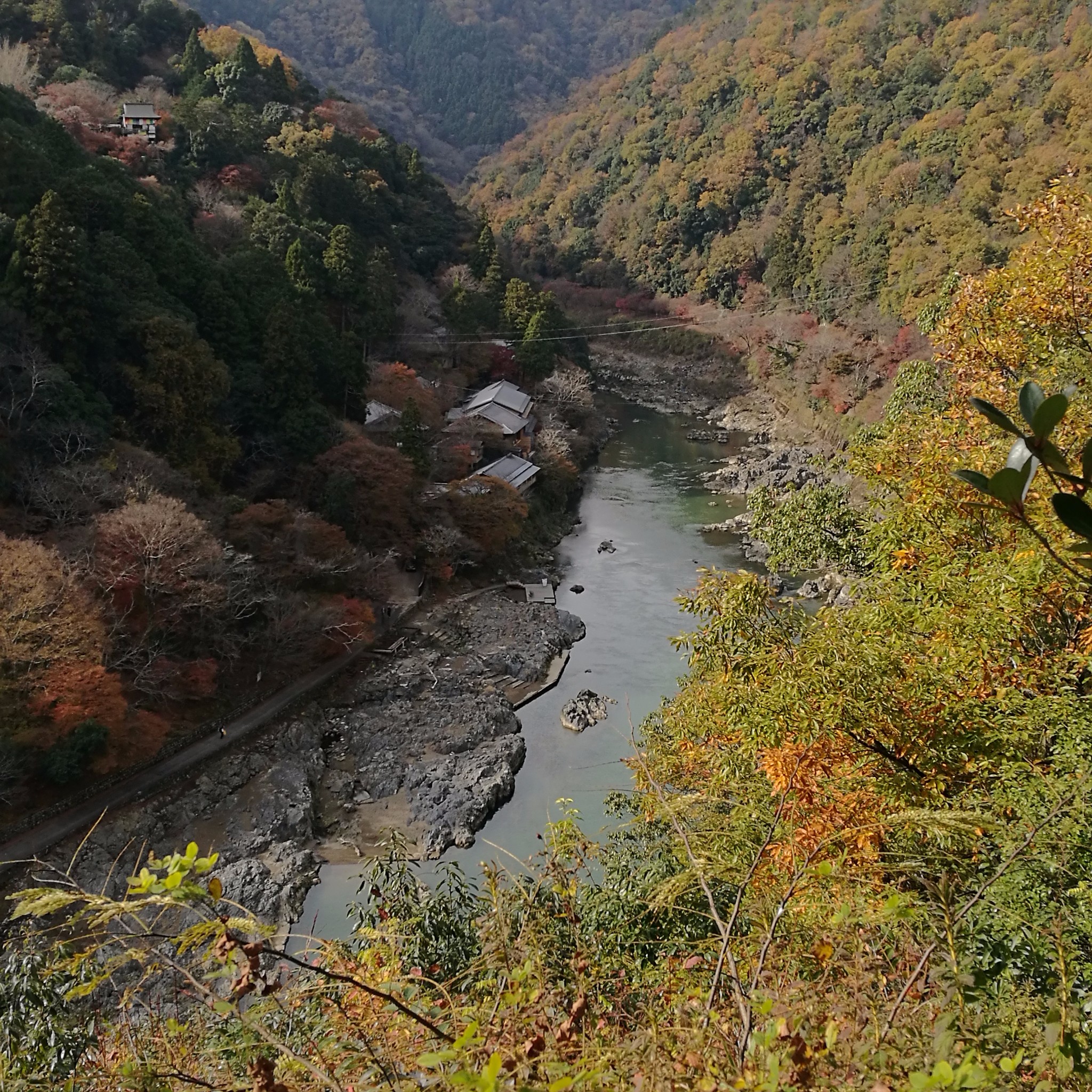 京都自助遊攻略