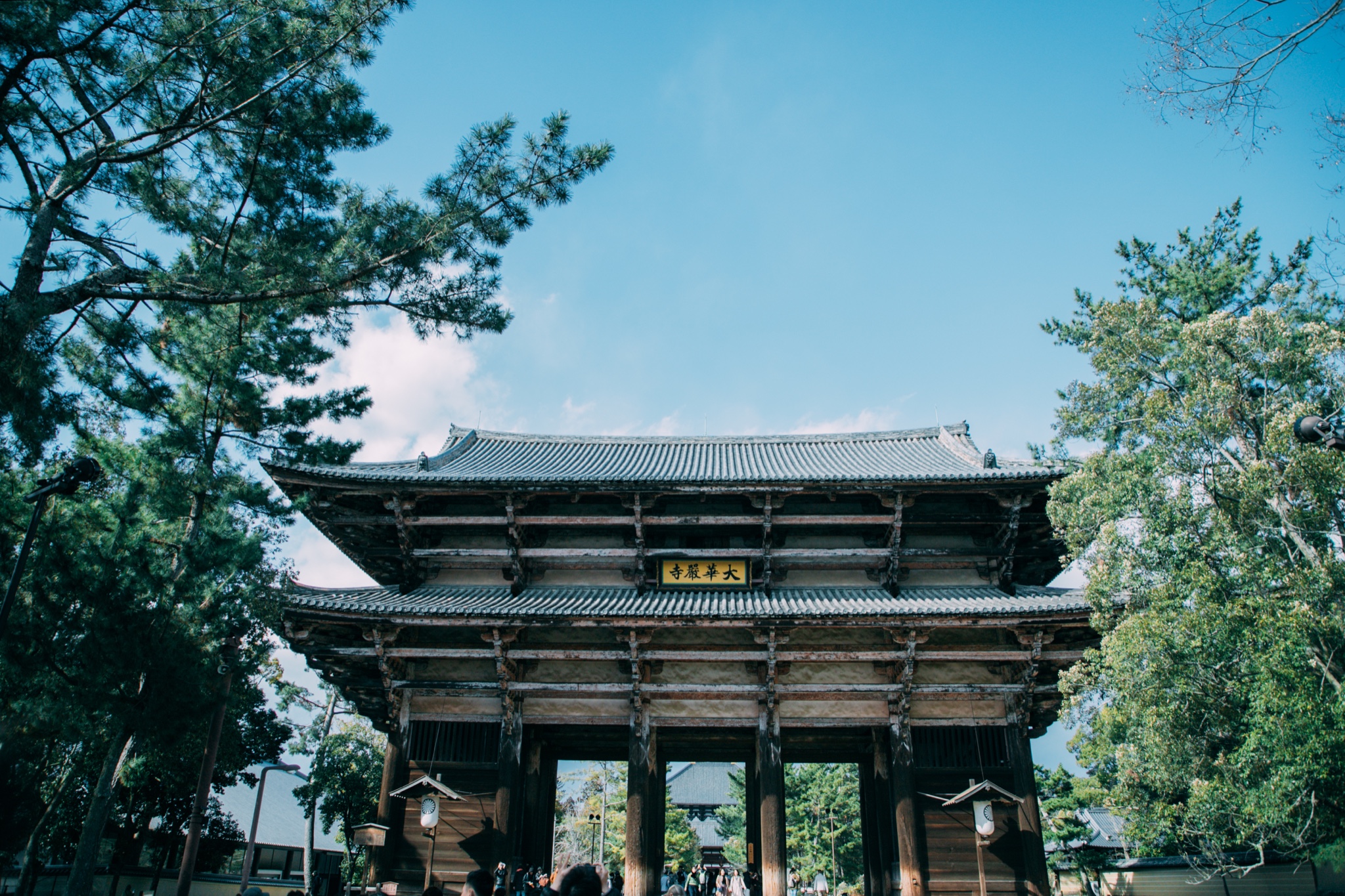 京都自助遊攻略