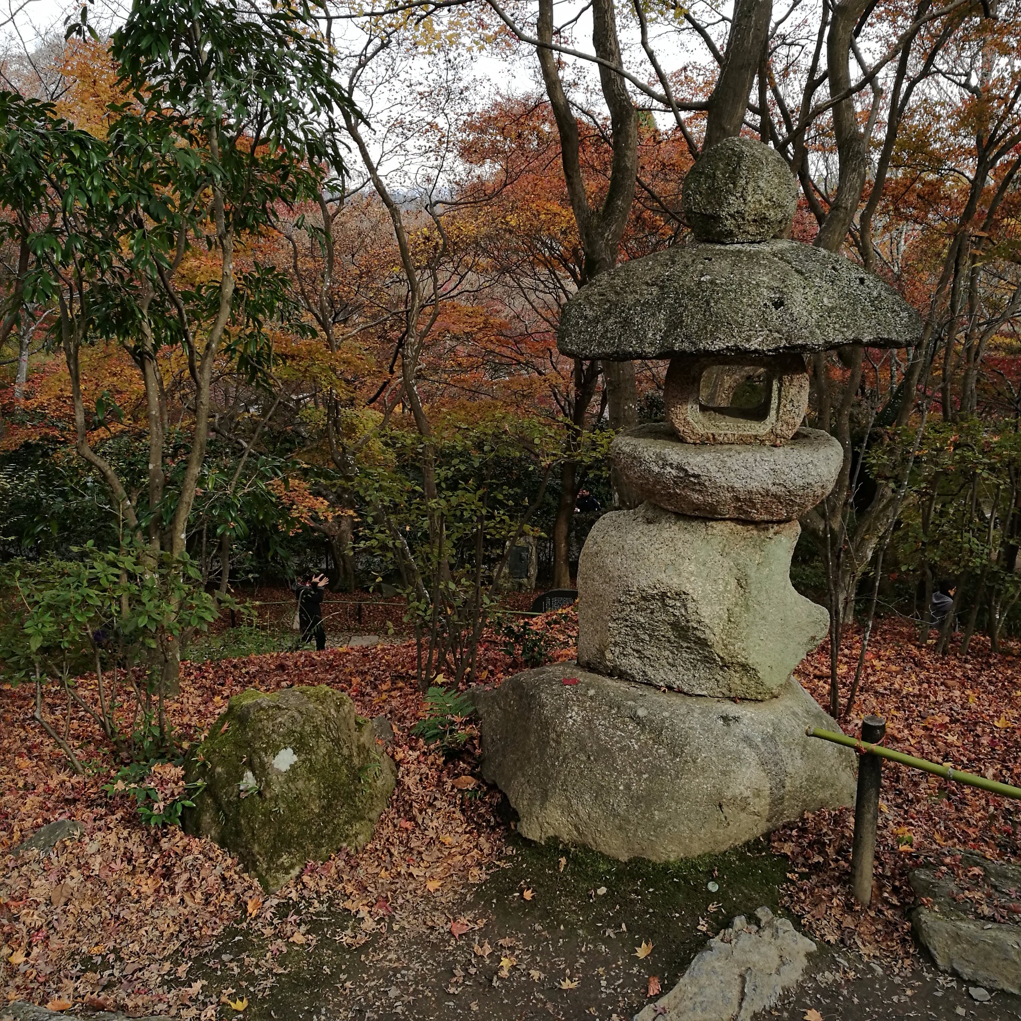 京都自助遊攻略