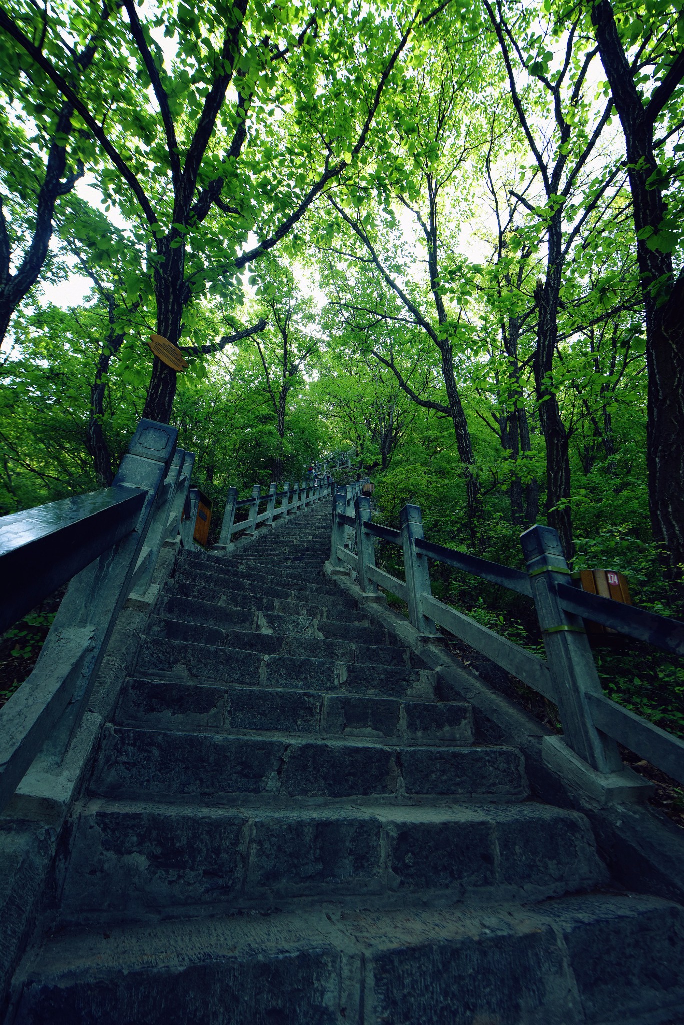 雲台山自助遊攻略