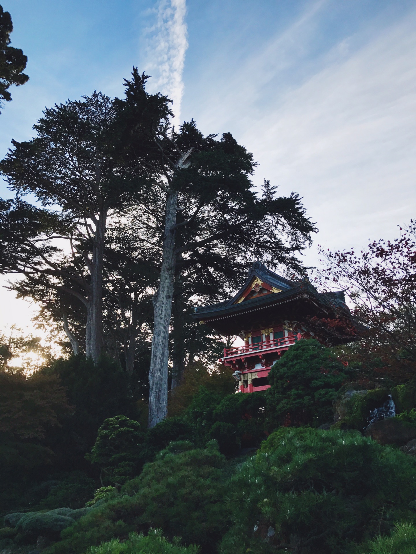 舊金山自助遊攻略