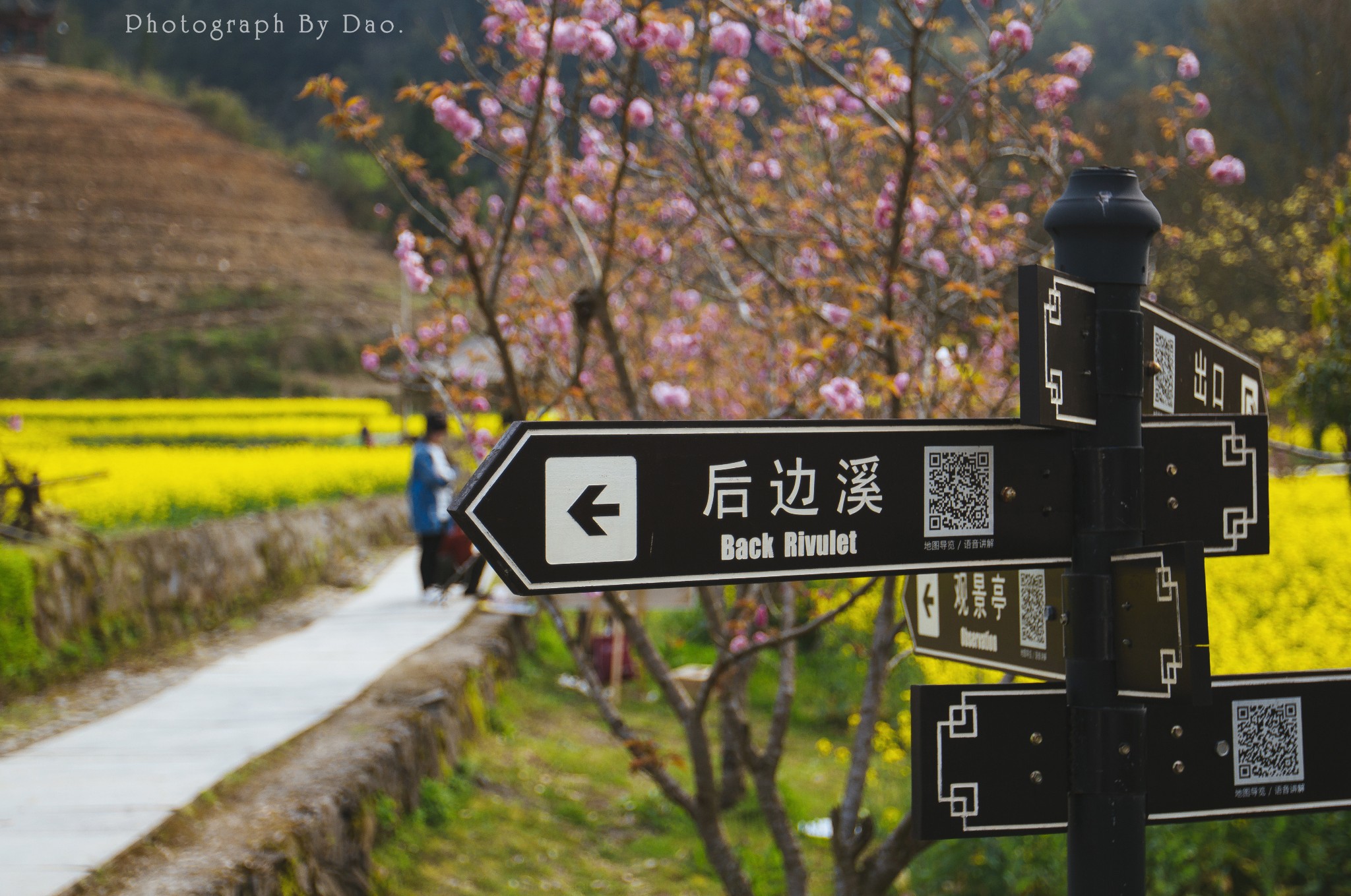 黃山自助遊攻略