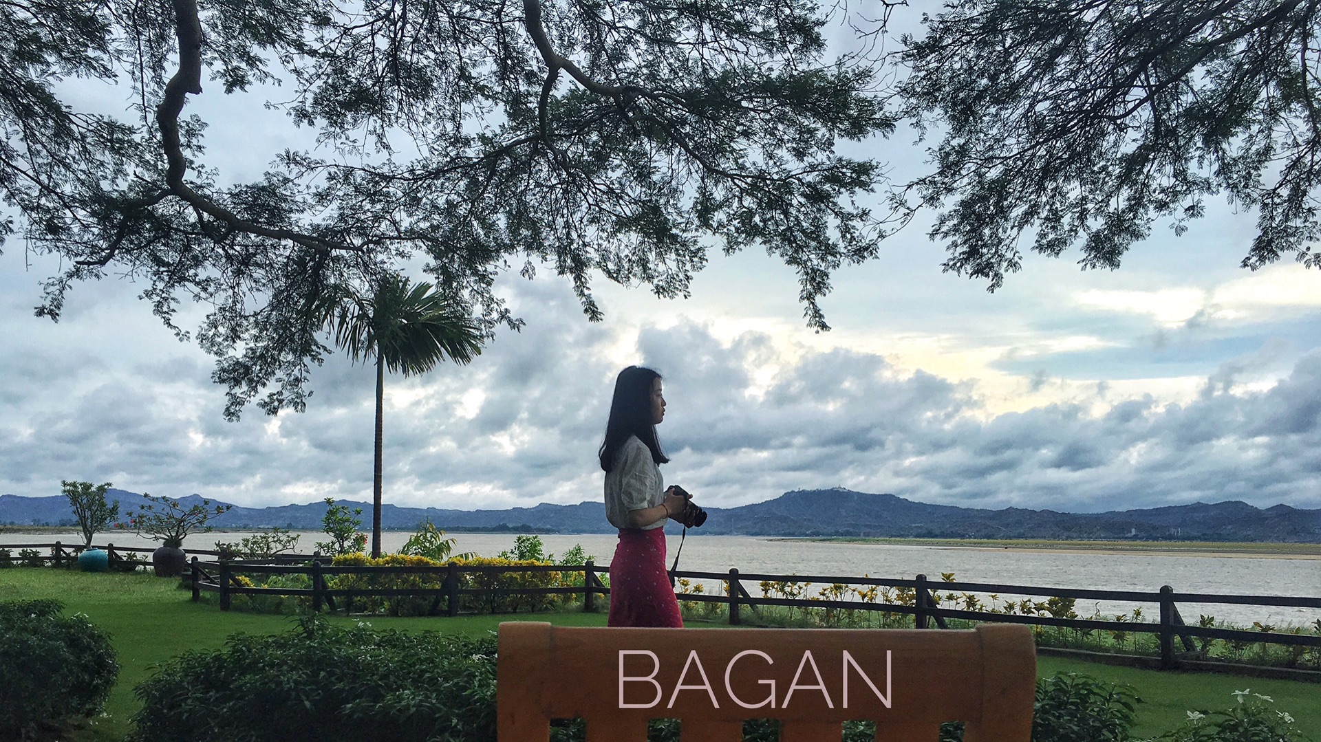 一盆花猜成语_一盆花图片(3)