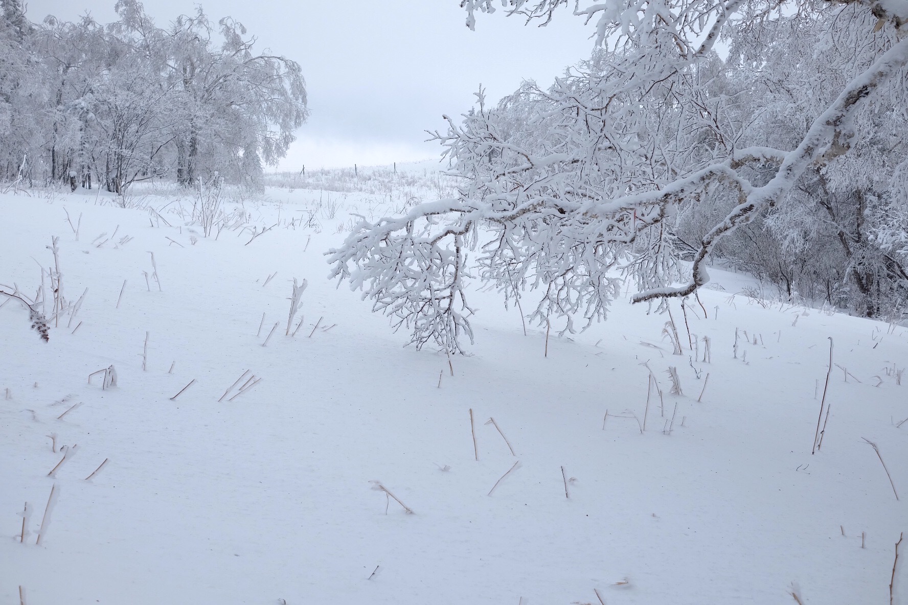 雪鄉自助遊攻略