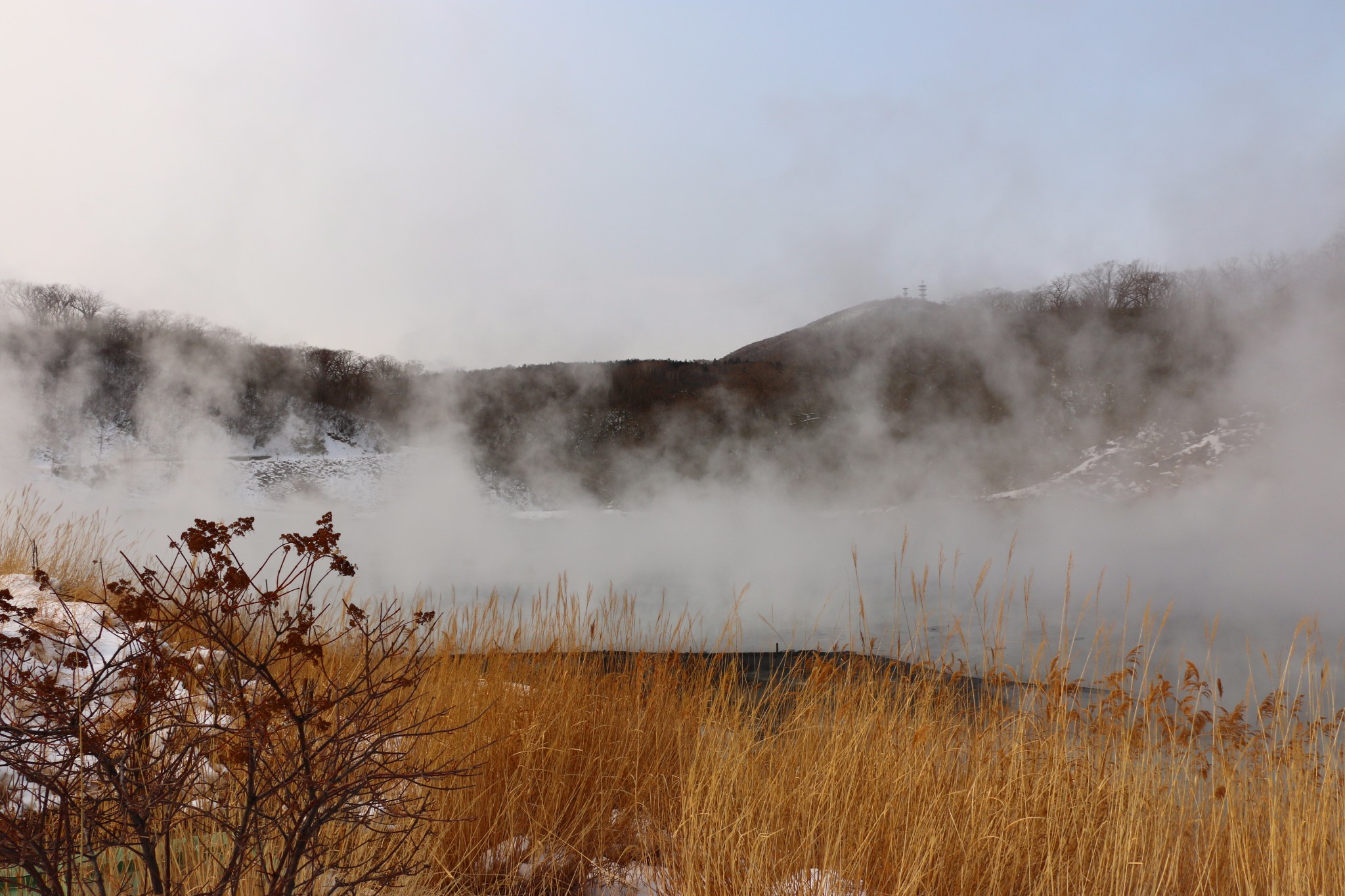 北海道自助遊攻略