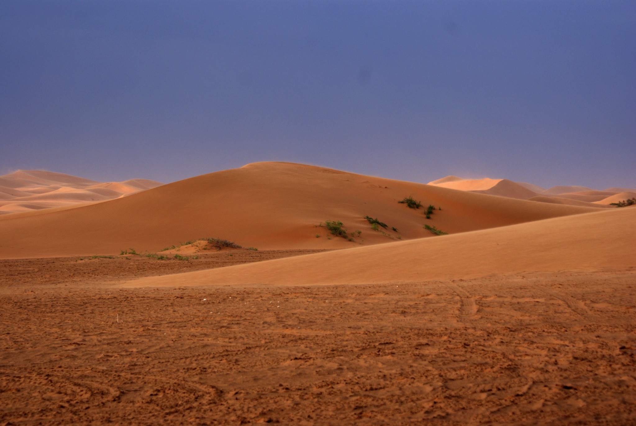阿拉善左旗到银川飞机场怎么去?