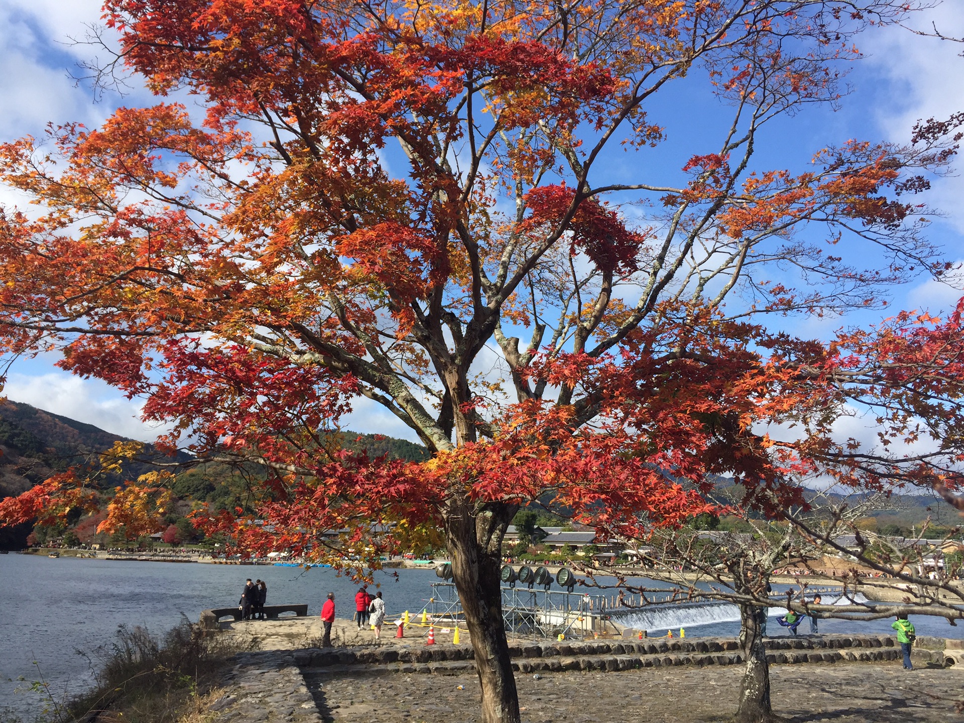 京都自助遊攻略