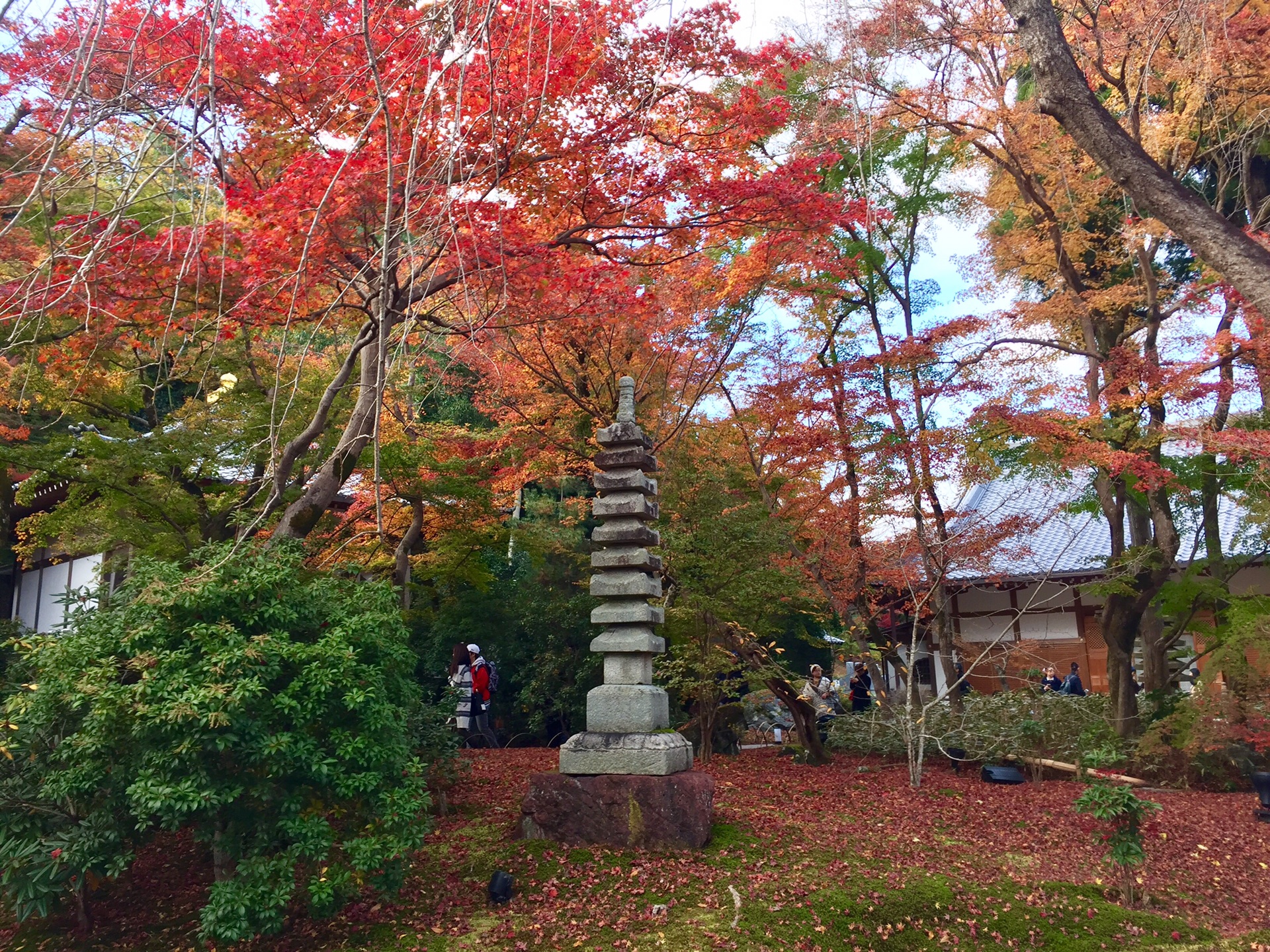 京都自助遊攻略