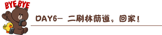 DAY6- 二刷林荫道,回家! DAY6- 二刷林荫道,回家!