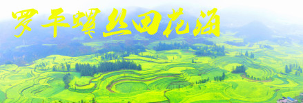 罗平螺丝田油菜花海 罗平螺丝田油菜花海