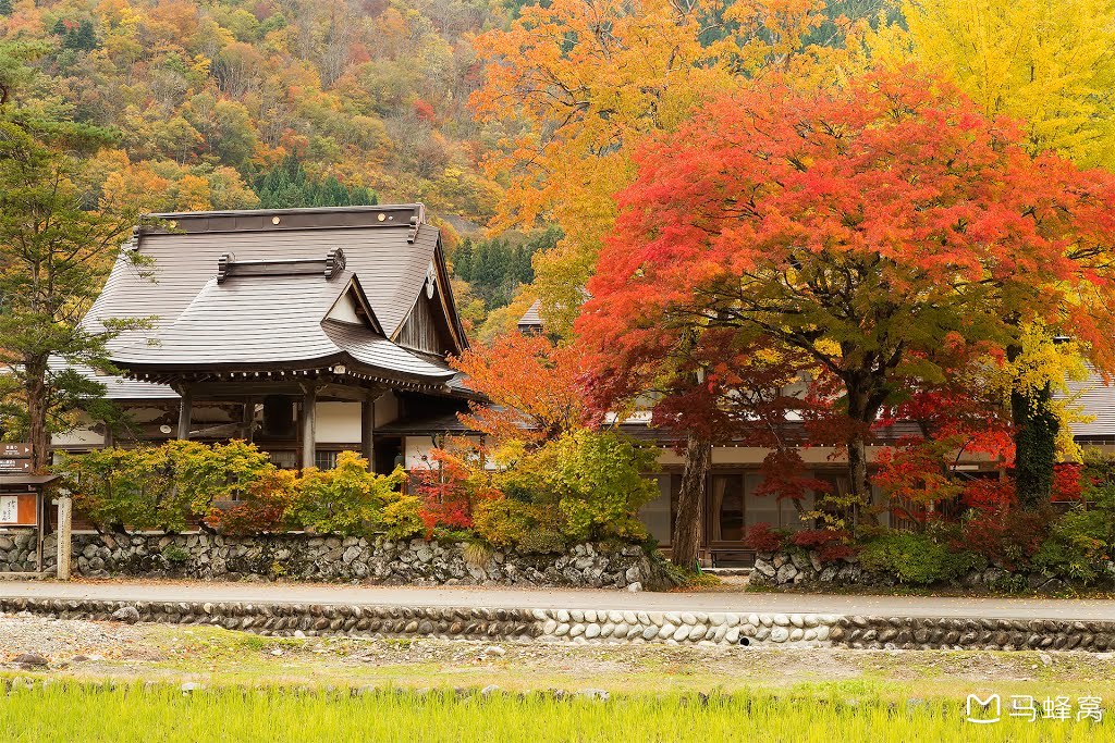 日本有哪些风景宜人的小乡村或小镇值得一去?_马蜂窝问答 - 马蜂窝