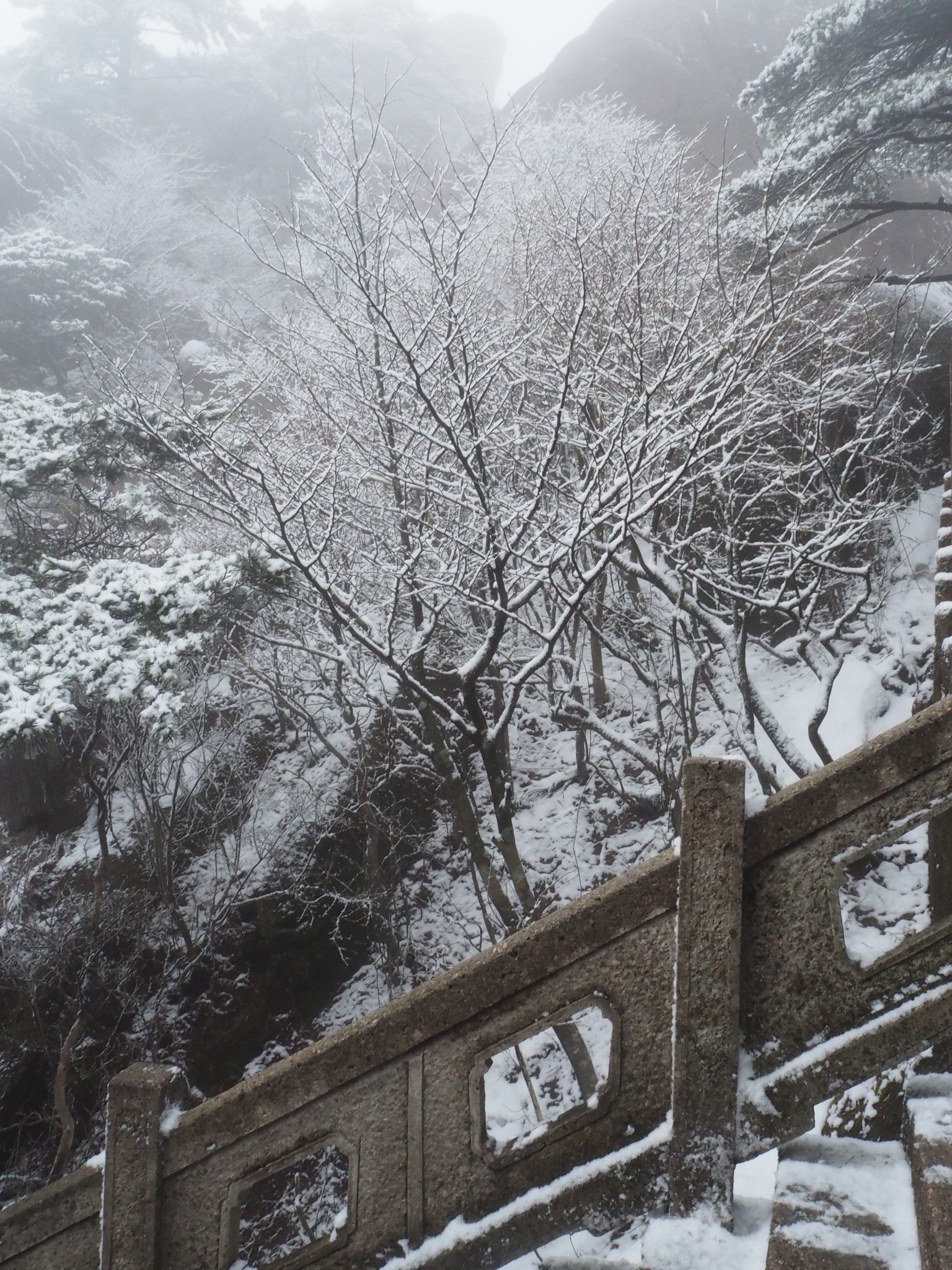 黃山自助遊攻略