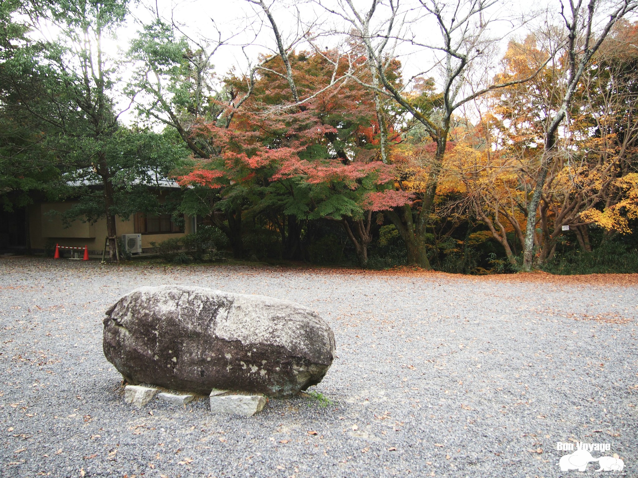 名古屋自助遊攻略